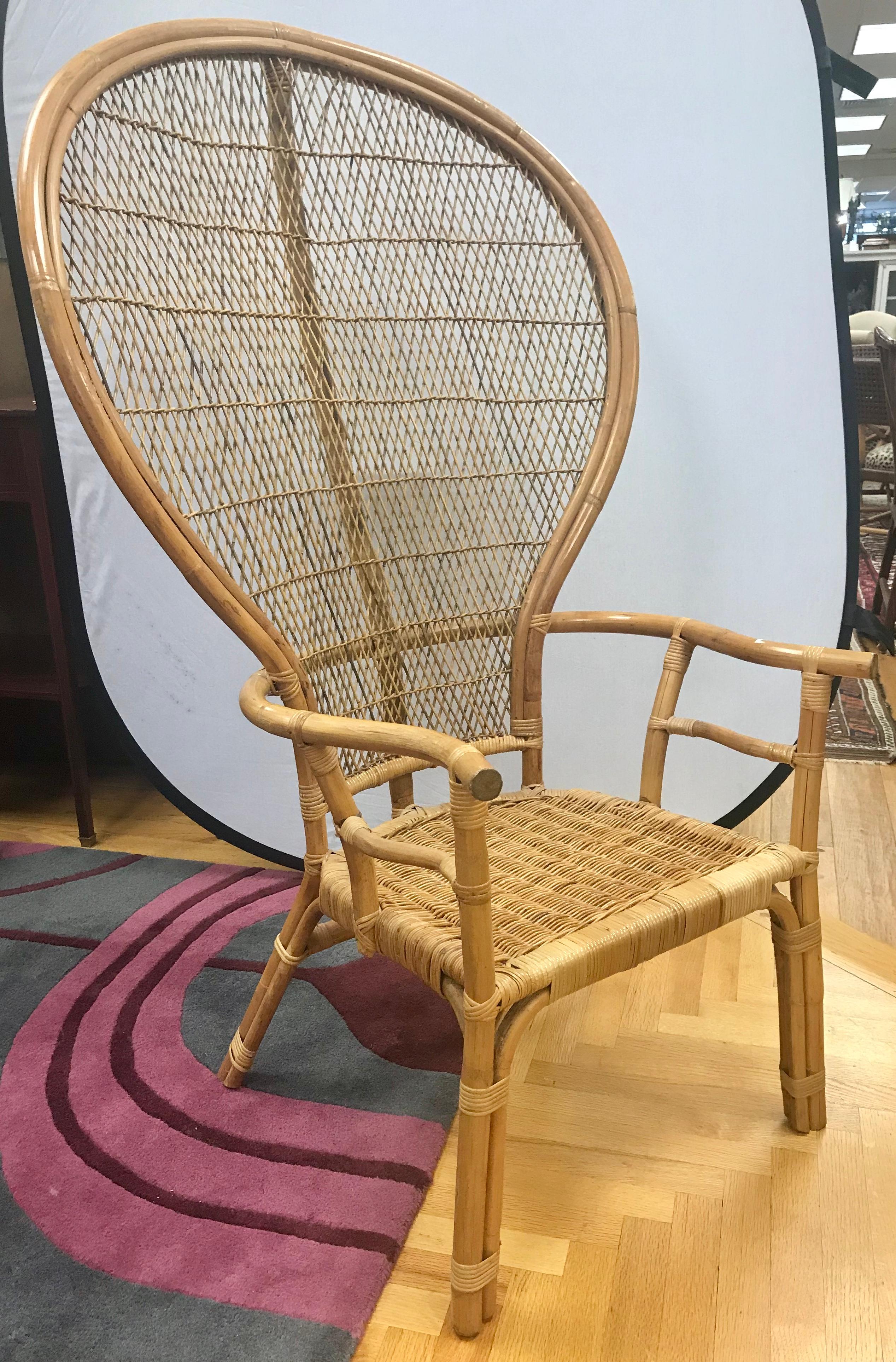 modern peacock chair