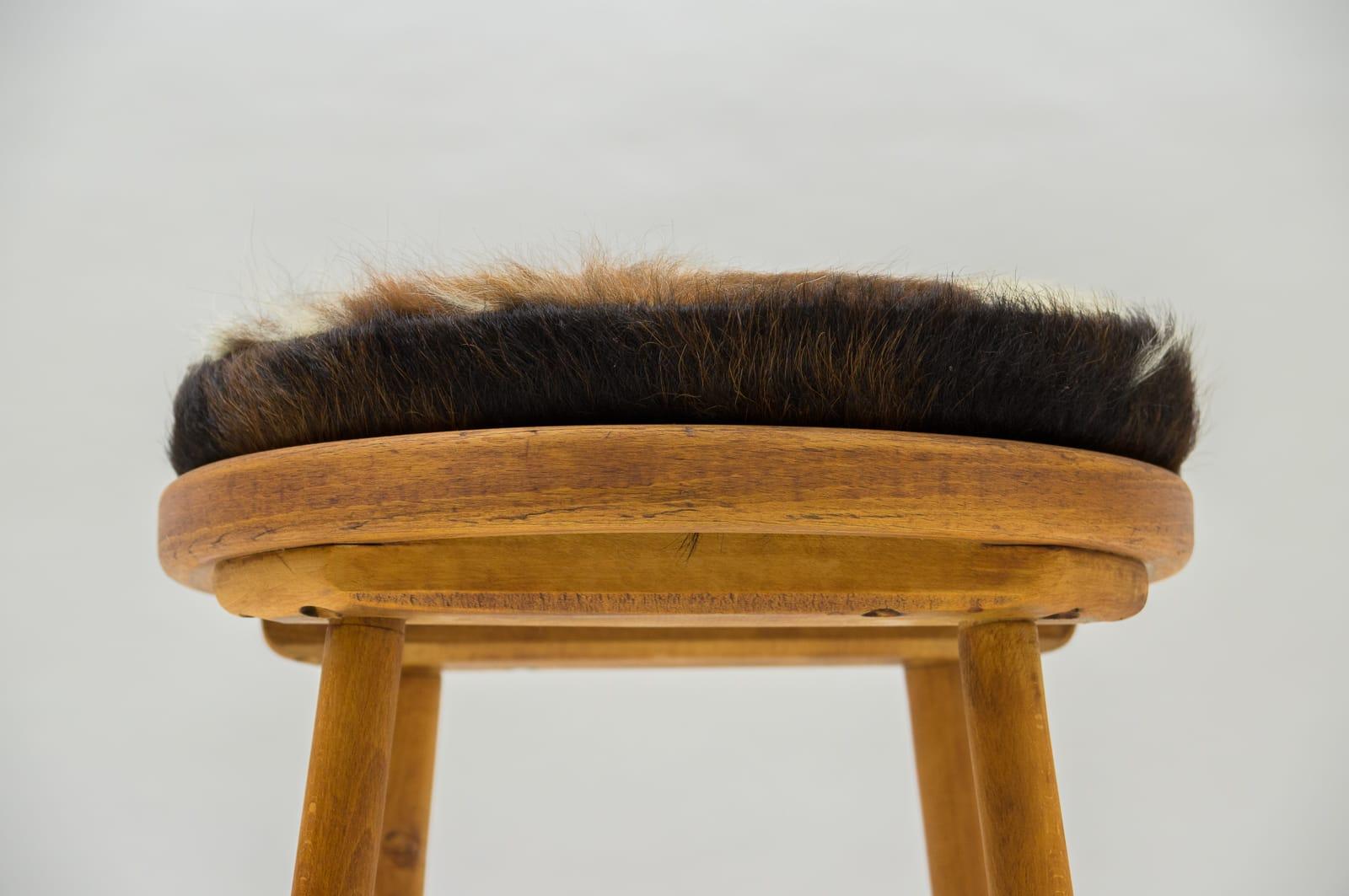 20th Century Mid-Century Modern Wooden Stool with Cow Skin Upholstery, France, 1950s