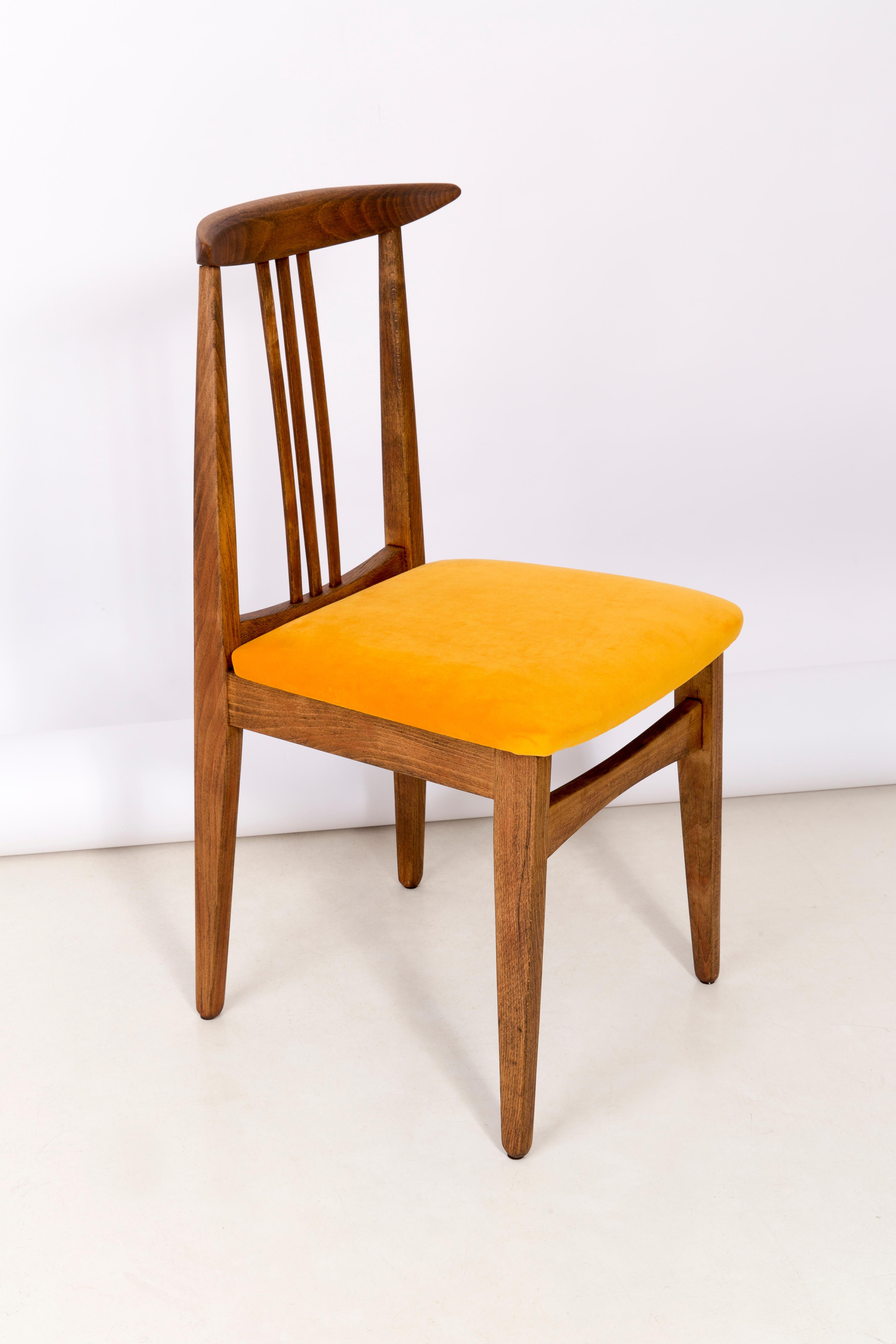 A beautiful beech chair designed by M. Zielinski, type 200 / 100B. Manufactured by the Opole Furniture Industry Center at the end of the 1960s in Poland. The chair is after undergone a complete carpentry and upholstery renovation. Seas covered with