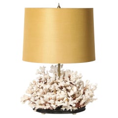 Mid-Century Modernist Coral Table Lamp with Walnut Base & Brass Fittings