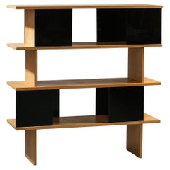 Modulares Eichen- und Plexiglasregal aus der Mitte des Jahrhunderts, Finnland, 1960er Jahre
