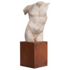 Midcentury Molded White Italian Plater Torso Gladiatore Borghese, 1950