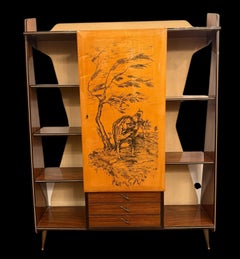 Mid- Century Multifunctional Bar Cabinet or Book Case , 1950s