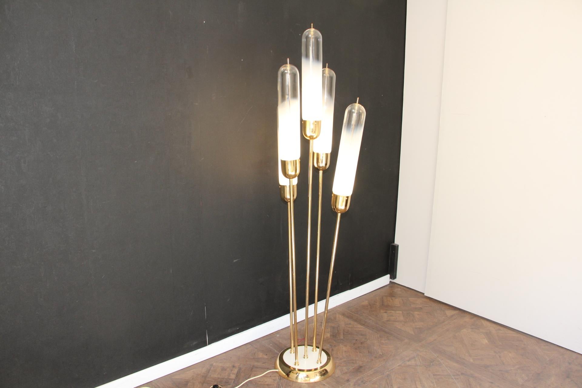 Mid-Century Murano Glass and Brass Floor Lamp by Carlo Nason for Mazzega For Sale 8