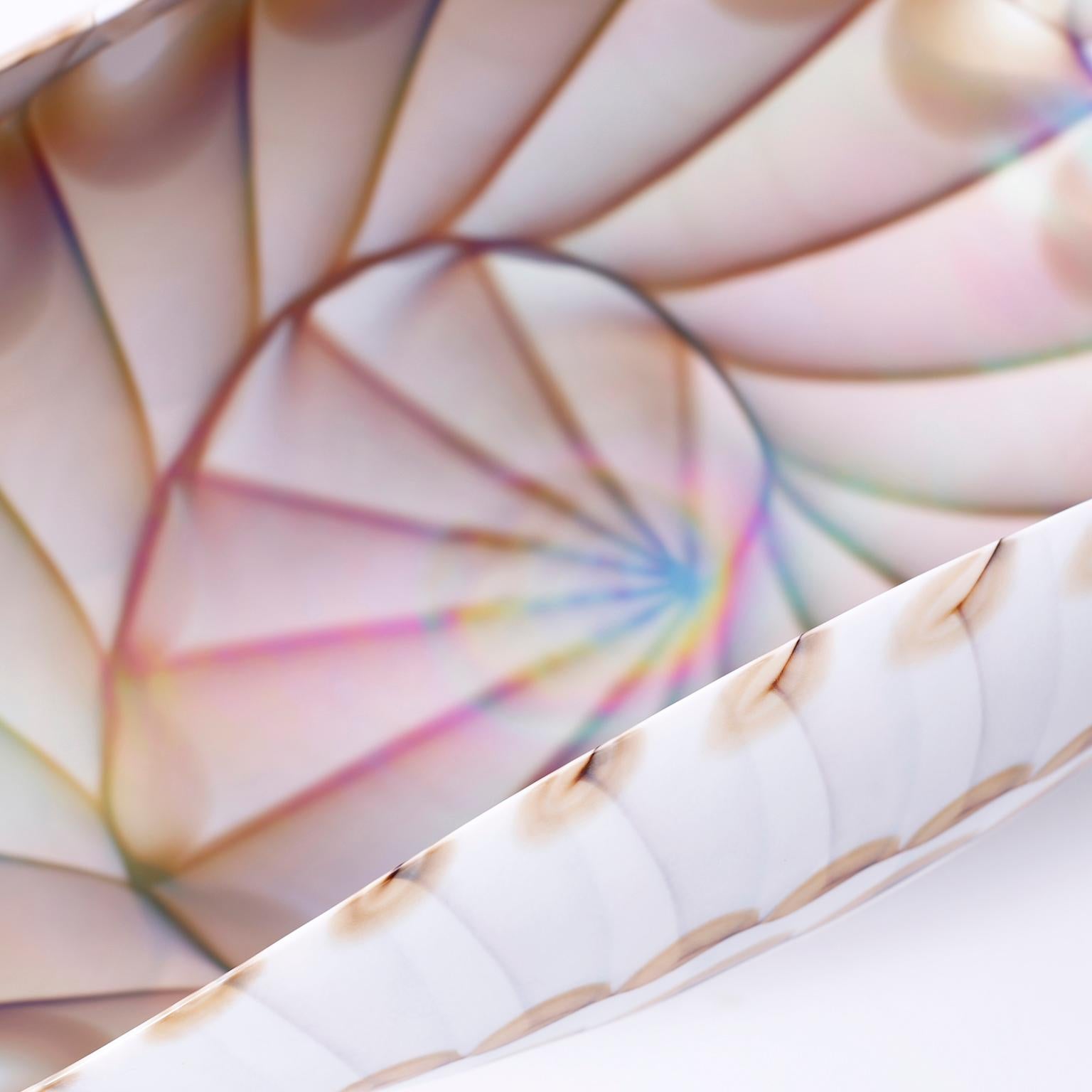 Mid-Century Modern Midcentury Murano Glass Sea Shell Bowl by Furnace Ferro