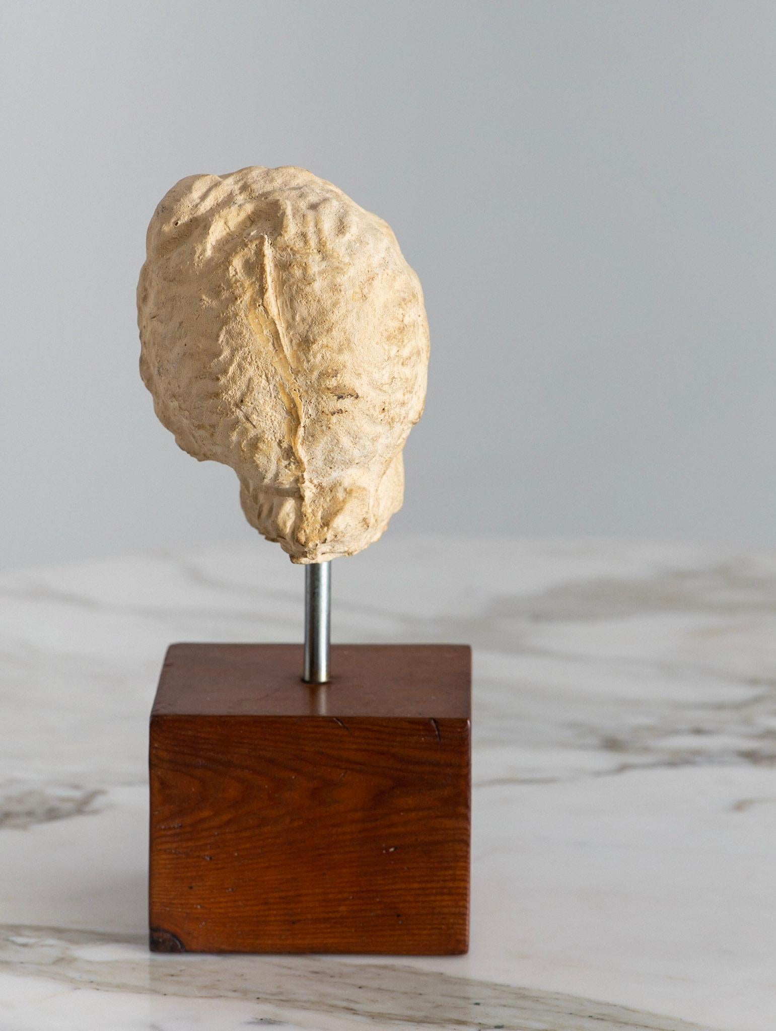 20th Century Mid Century Museum Reproduction Sculpture Fragment of a Grecian Style Head