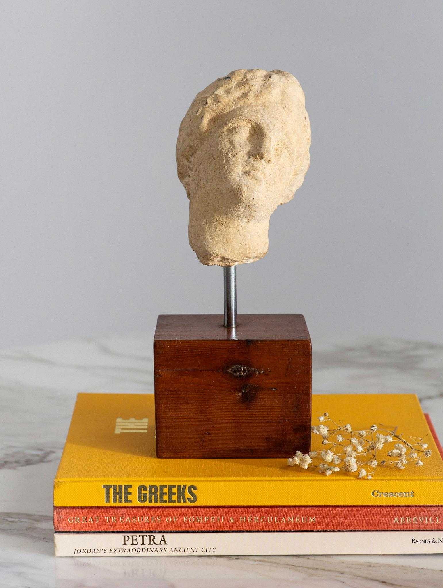 Plaster Mid Century Museum Reproduction Sculpture Fragment of a Grecian Style Head