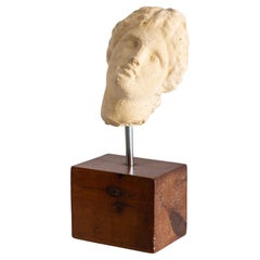 Mid Century Museum Reproduction Sculpture Fragment of a Grecian Style Head
