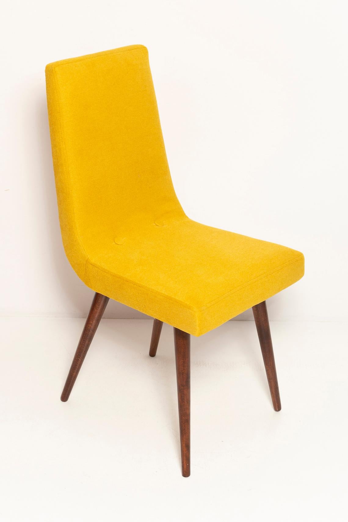 Midcentury Mustard Yellow Wool Chair, Rajmund Halas, Europe, 1960s For Sale 2