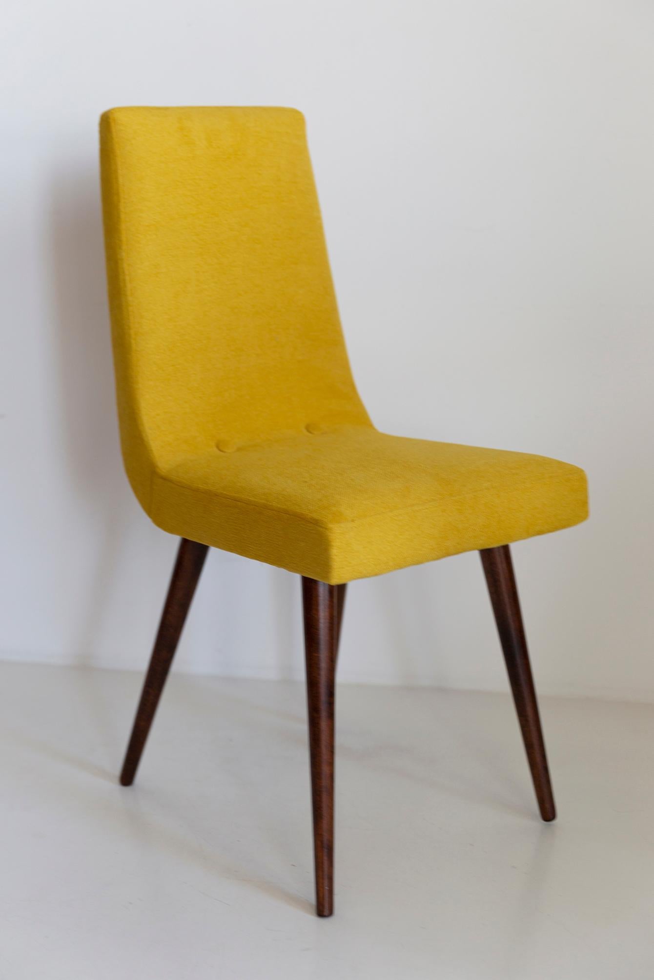 20th Century Midcentury Mustard Yellow Wool Chair, Rajmund Halas, Europe, 1960s For Sale