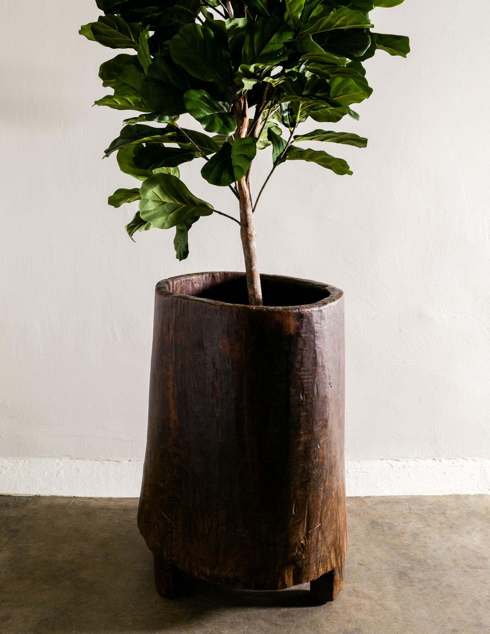 Indian Mid Century Naga Wooden Planter in Teak and Wabi Sabi Style Produced in India For Sale
