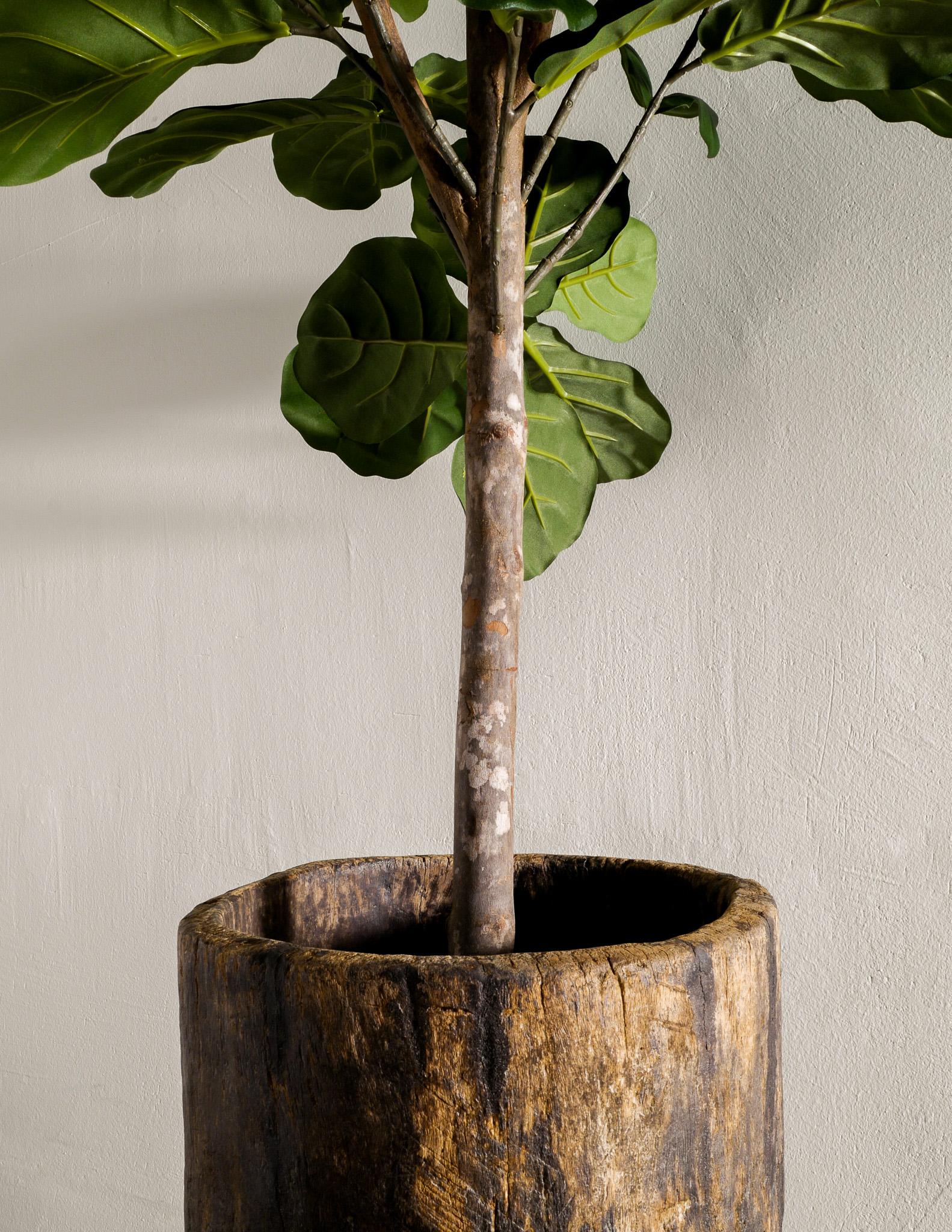 Indian Mid Century Naga Wooden Planter in Teak and Wabi Sabi Style Produced in India
