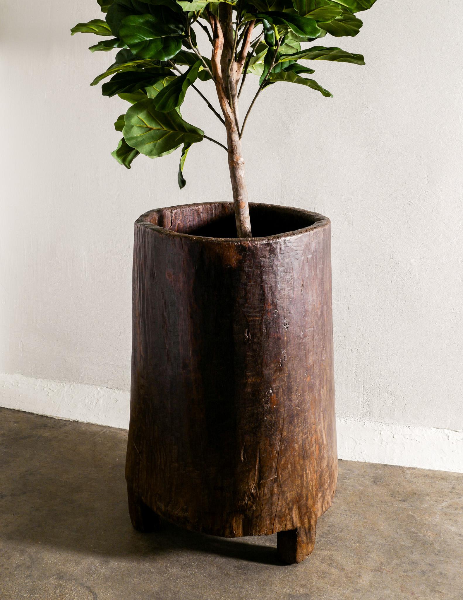 Naga-Holz-Pflanzgefäß aus Teakholz im Wabi Sabi-Stil aus der Mitte des Jahrhunderts, hergestellt in Indien im Angebot 2