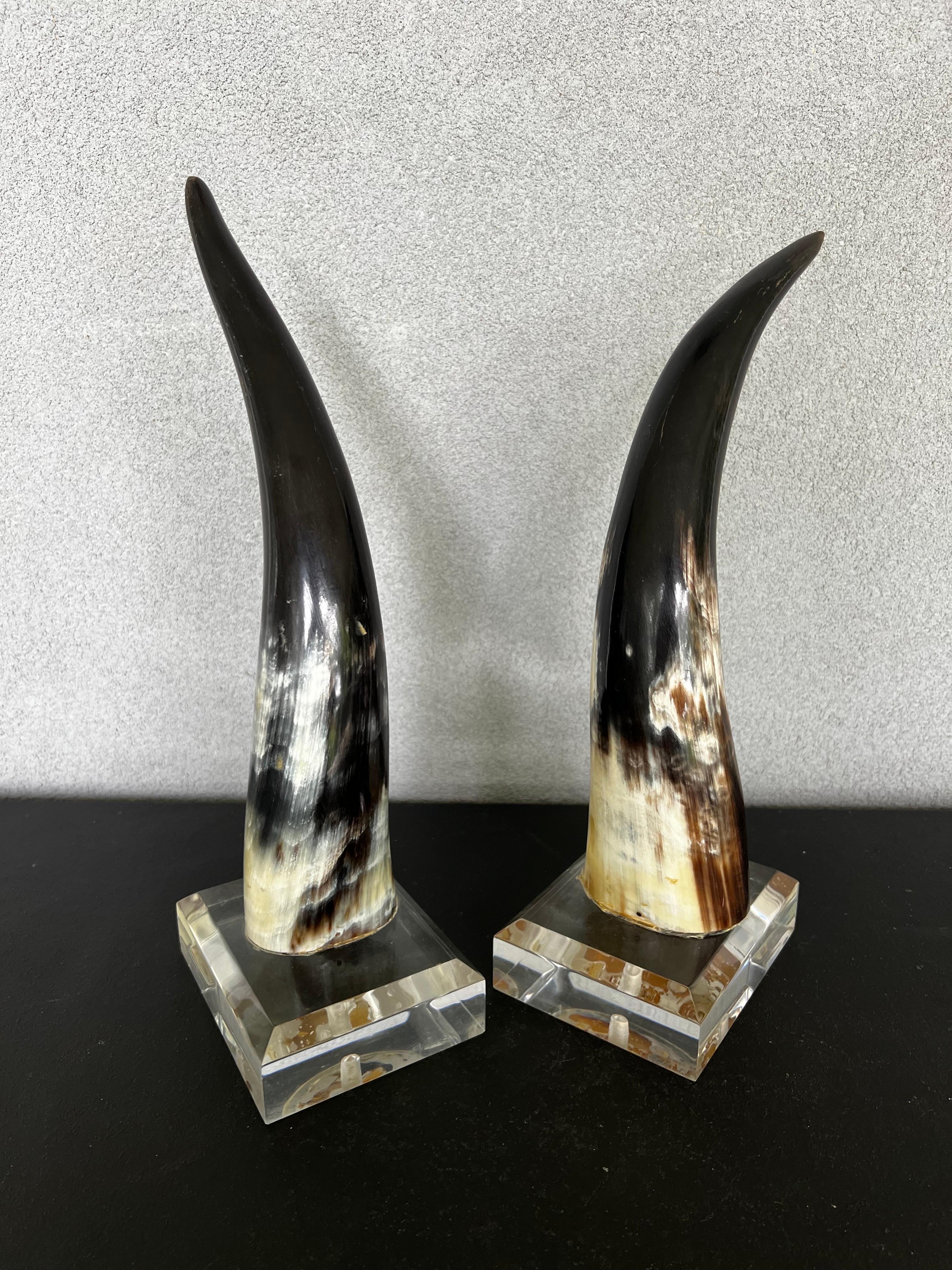 Pair of large mid century natural polished steer horns on Lucite bases, a beautiful natural pair, each one mounted on 4”x5” Lucite base.
stunning pair to add personality to any space. 
