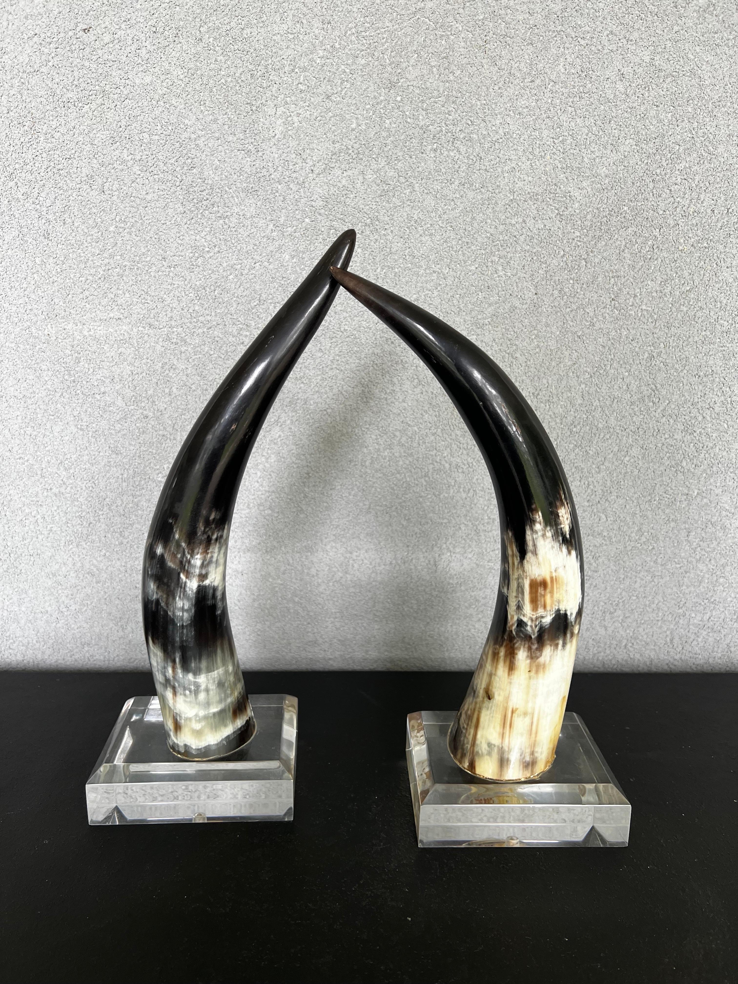 Mid-Century Modern Mid-Century Natural Polished Steer Horns on Lucite Pedestals For Sale