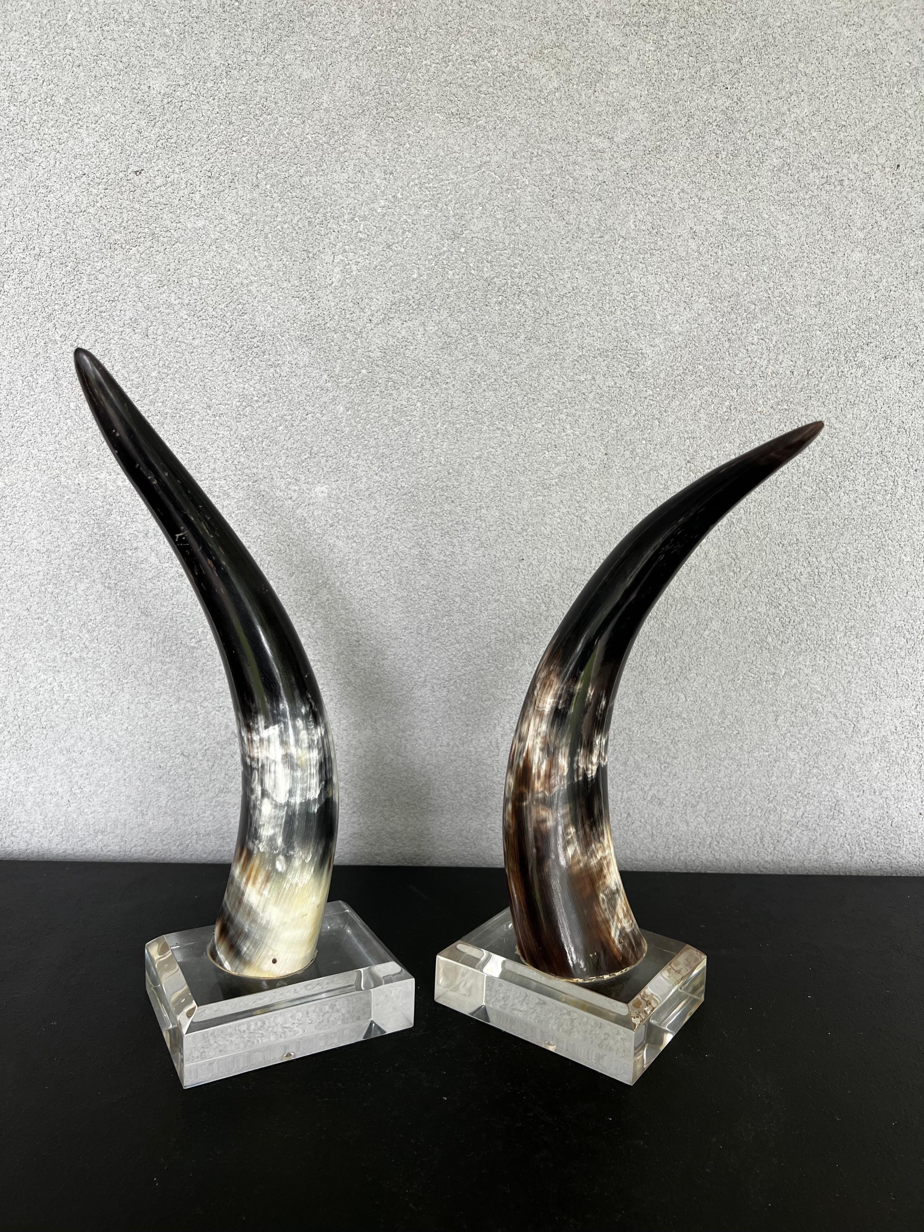 American Mid-Century Natural Polished Steer Horns on Lucite Pedestals For Sale