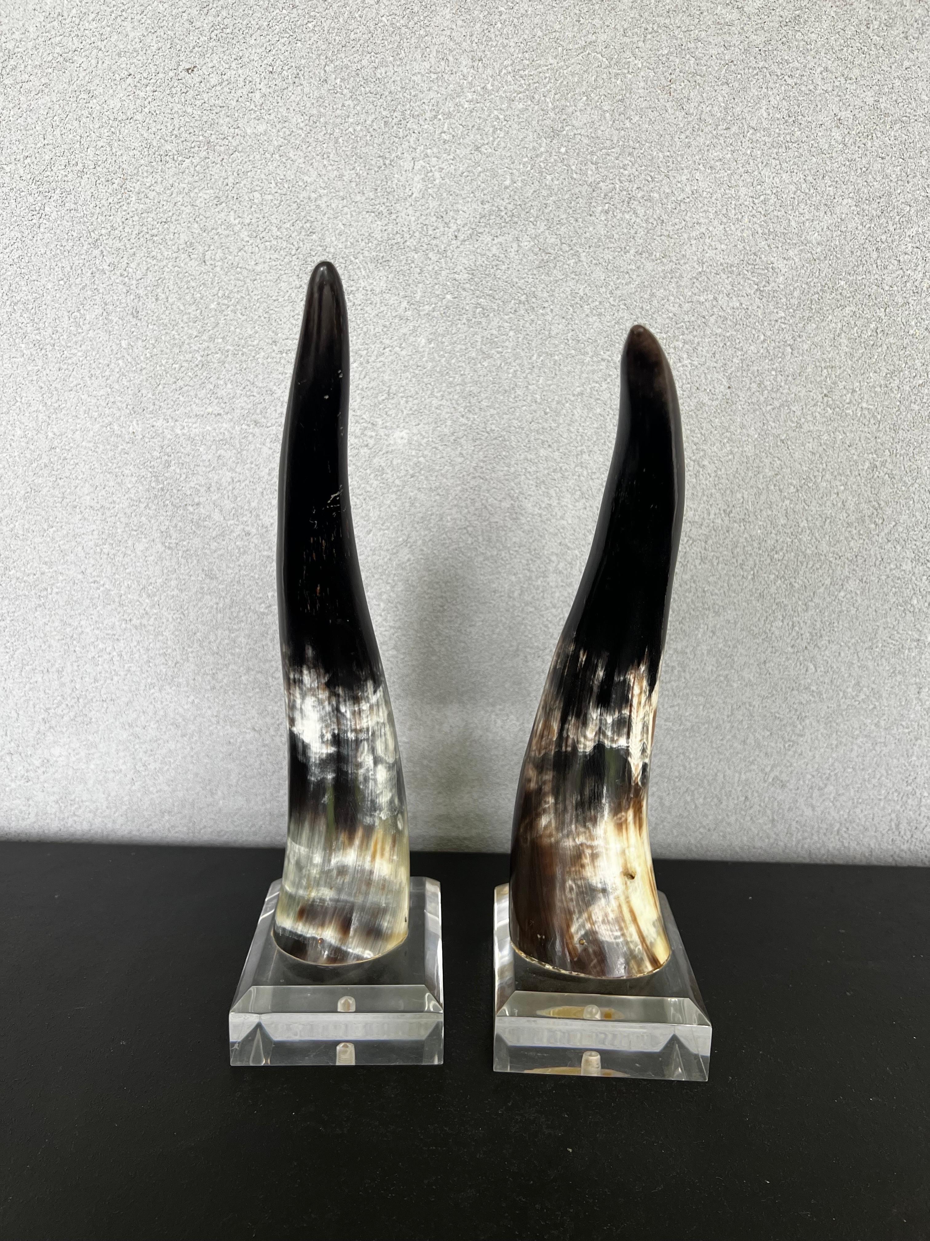 Hand-Crafted Mid-Century Natural Polished Steer Horns on Lucite Pedestals For Sale