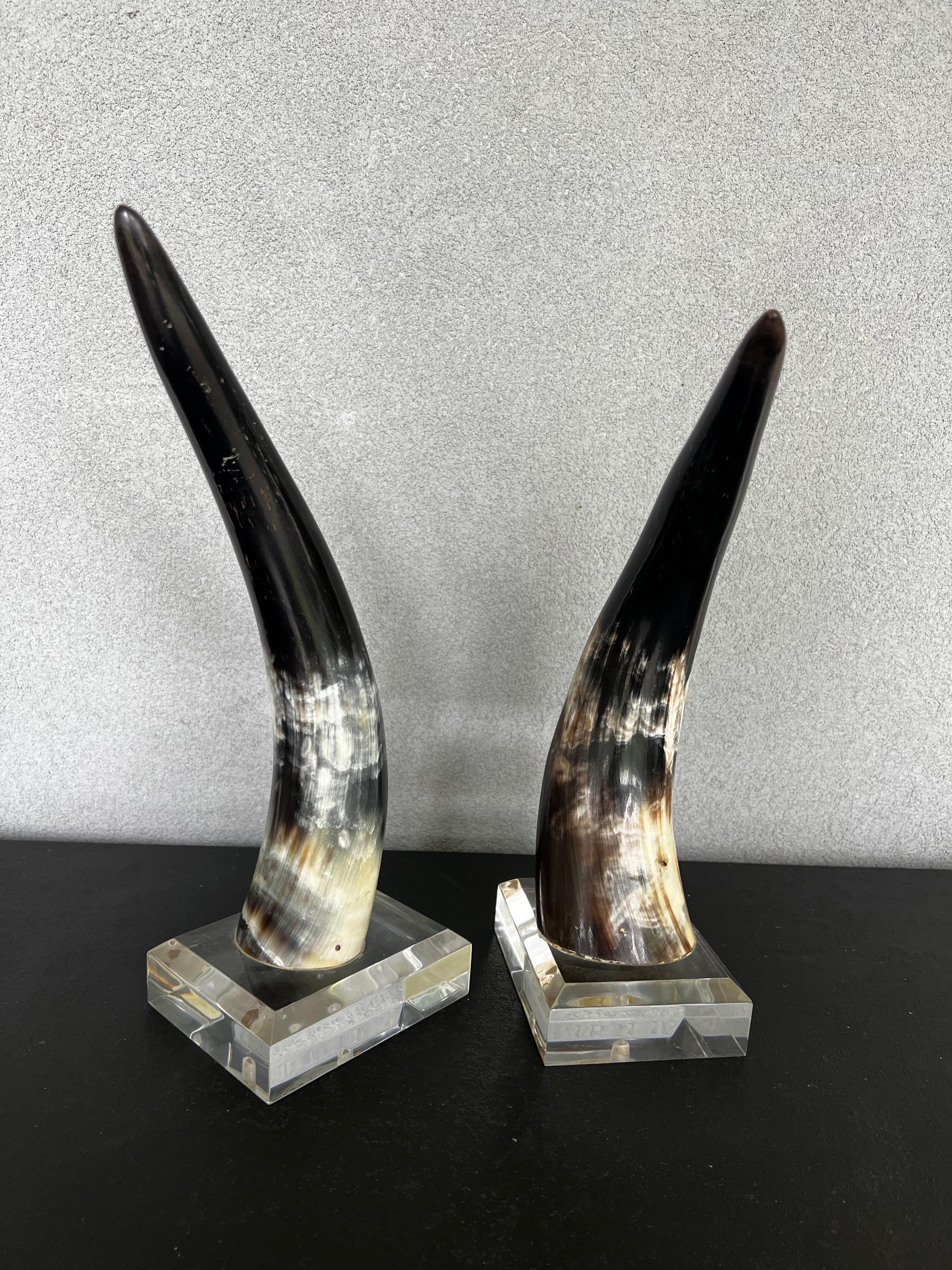 Mid-Century Natural Polished Steer Horns on Lucite Pedestals For Sale 1