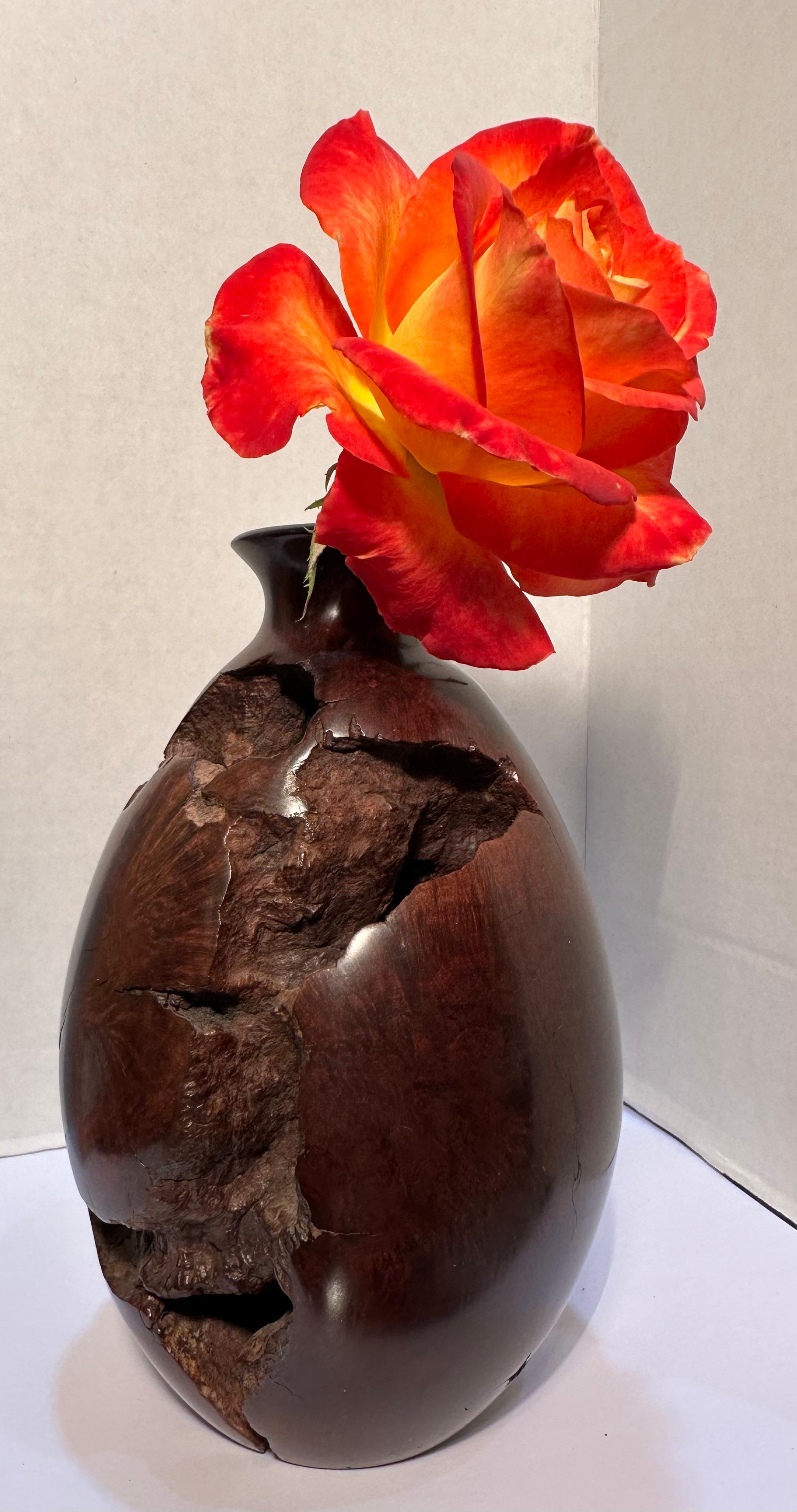 Mid-Century Natural Smooth and Rugged Burlwood Bulbous Bud Vase - One of a Kind For Sale 4