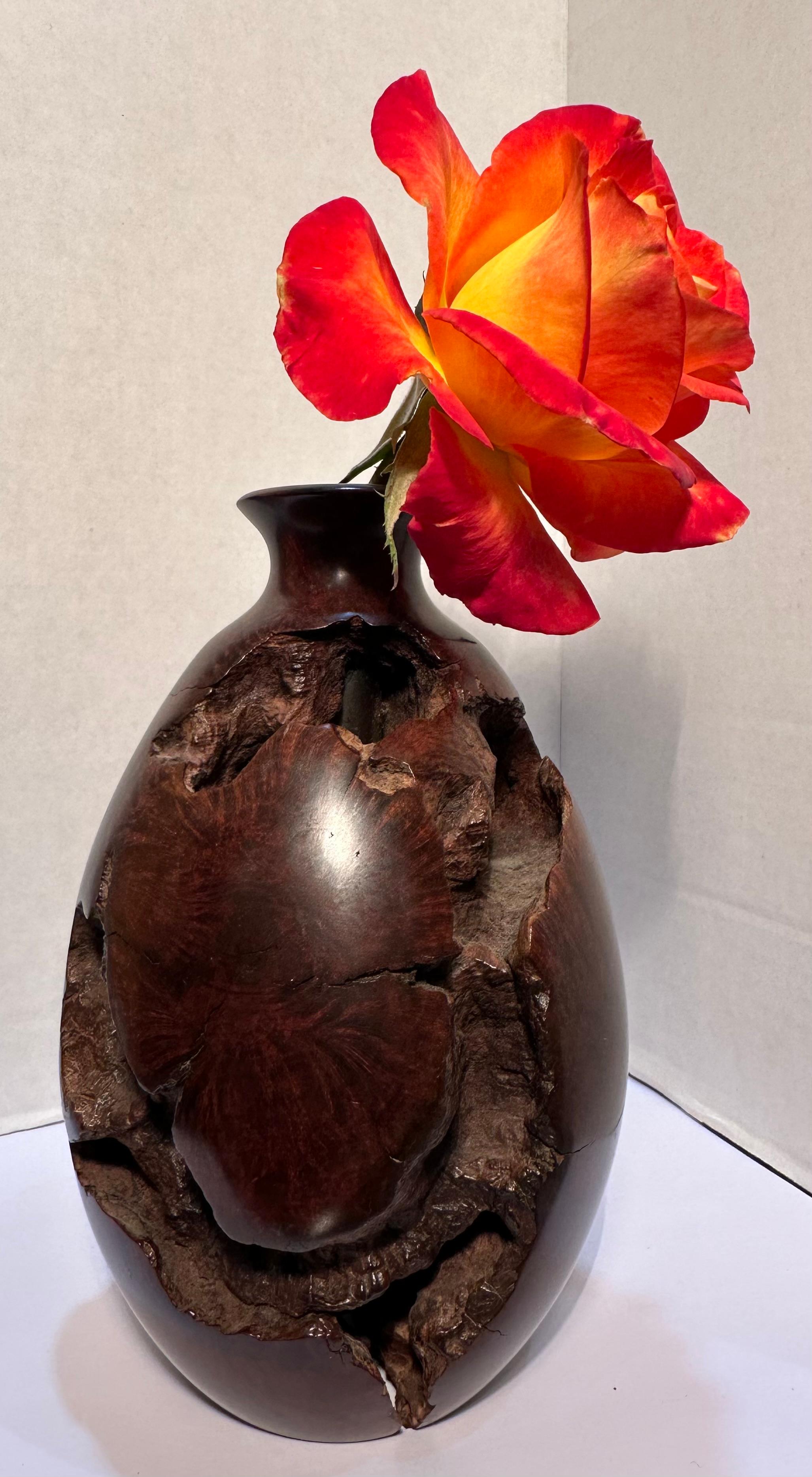 Mid-Century Natural Smooth and Rugged Burlwood Bulbous Bud Vase - One of a Kind For Sale 5