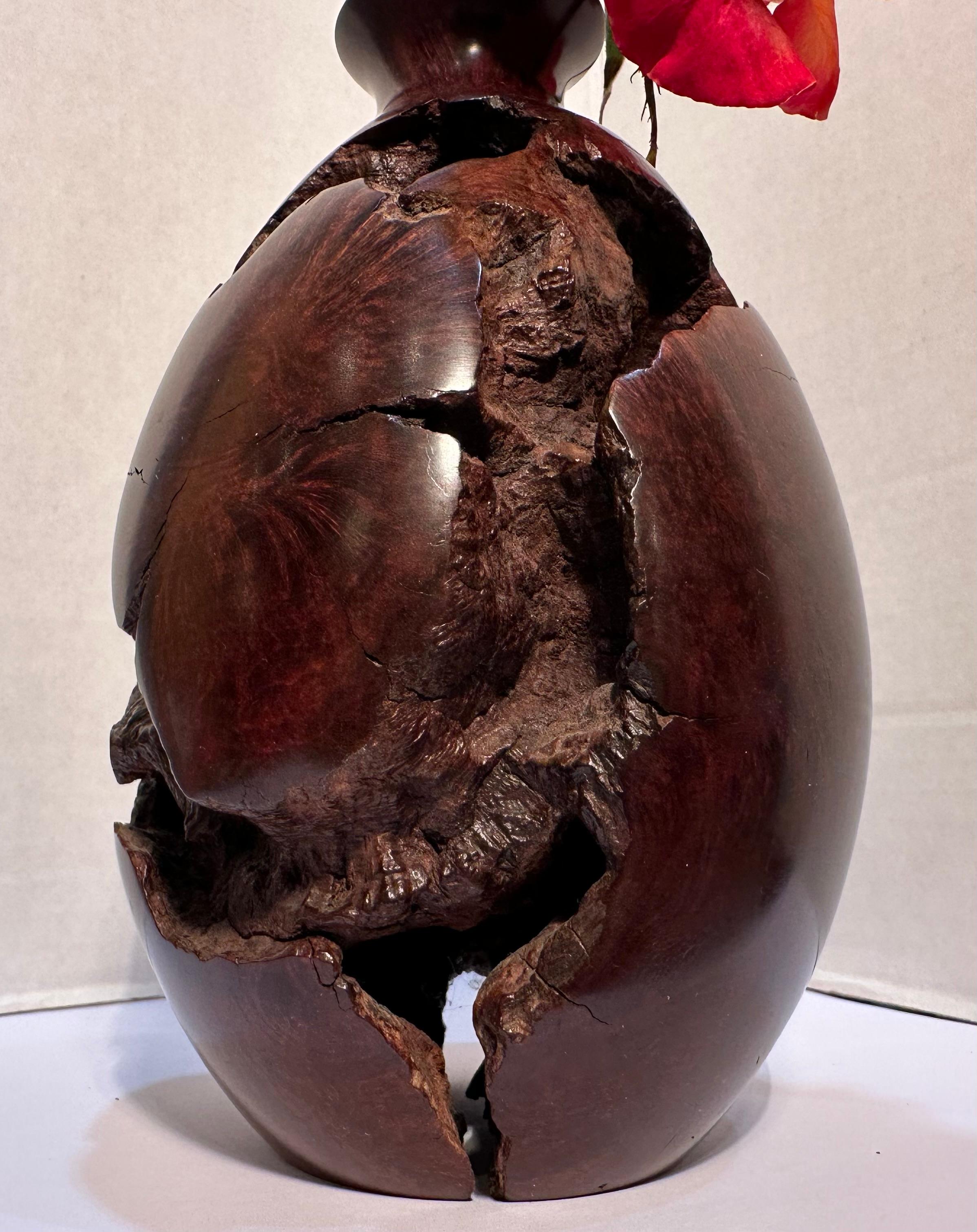 Vaso di gemme bulbose in legno di radica naturale di metà secolo, liscio e robusto, unico nel suo genere. in vendita 6