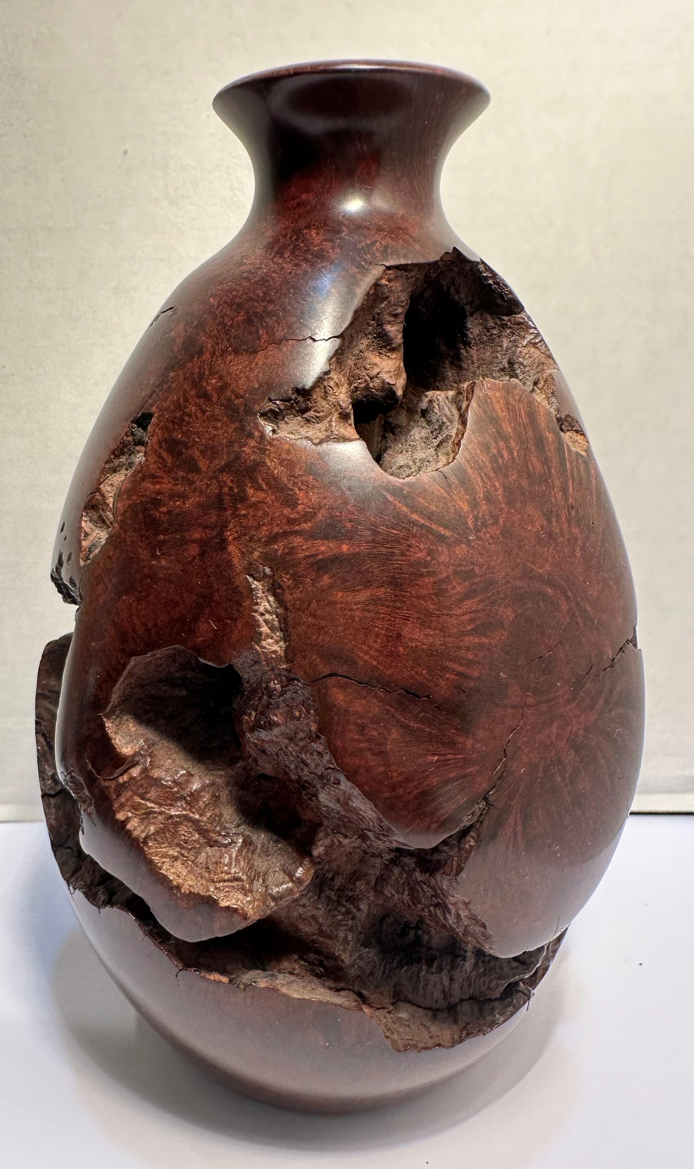 Questo vaso in radica organica del Mid-Century, unico nel suo genere e realizzato a mano, presenta un motivo naturale di radica vorticosa con una superficie liscia e lucida che contrasta con le depressioni e le fessure della radica ruvida e
