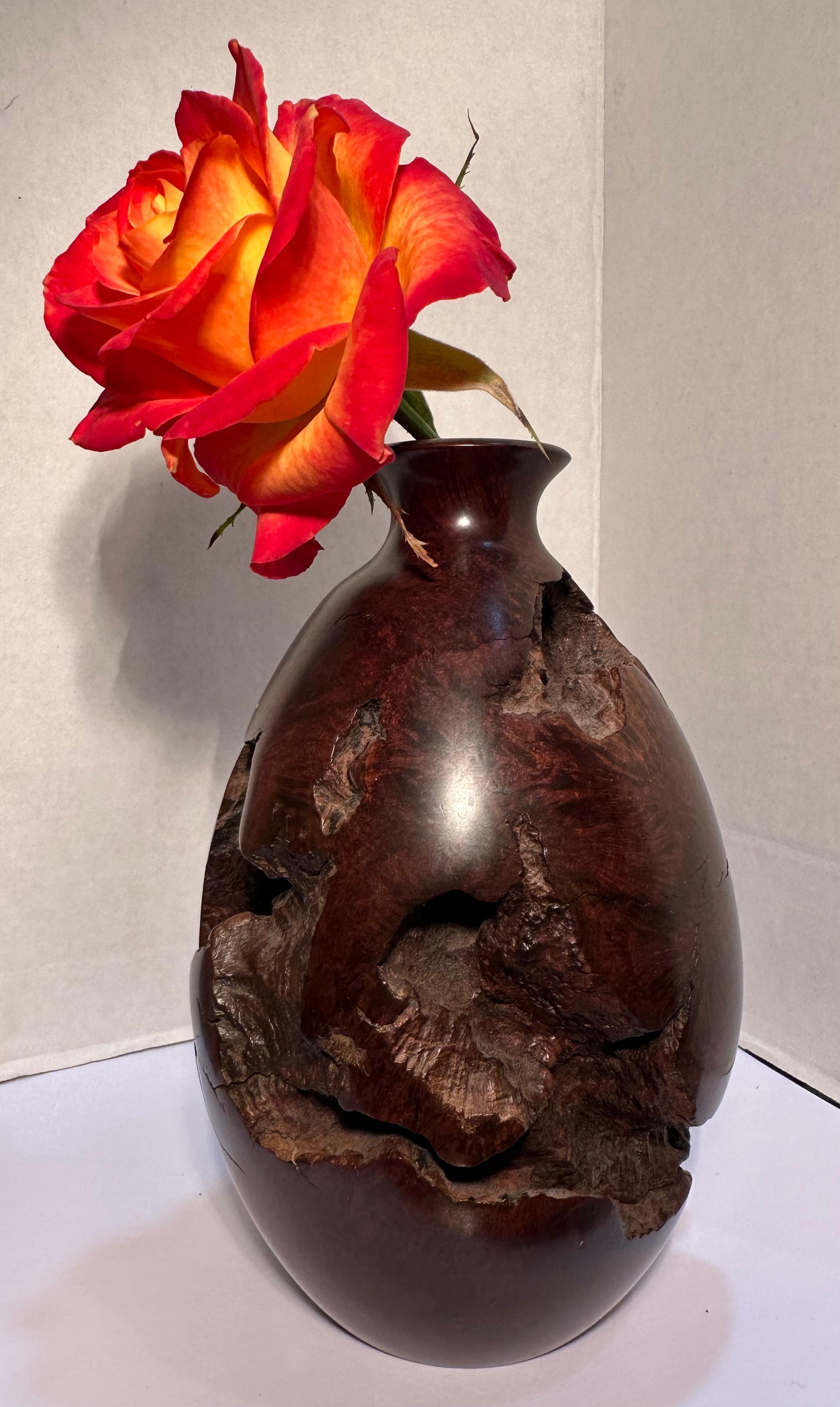 Mid-Century Modern Mid-Century Natural Smooth and Rugged Burlwood Bulbous Bud Vase - One of a Kind For Sale
