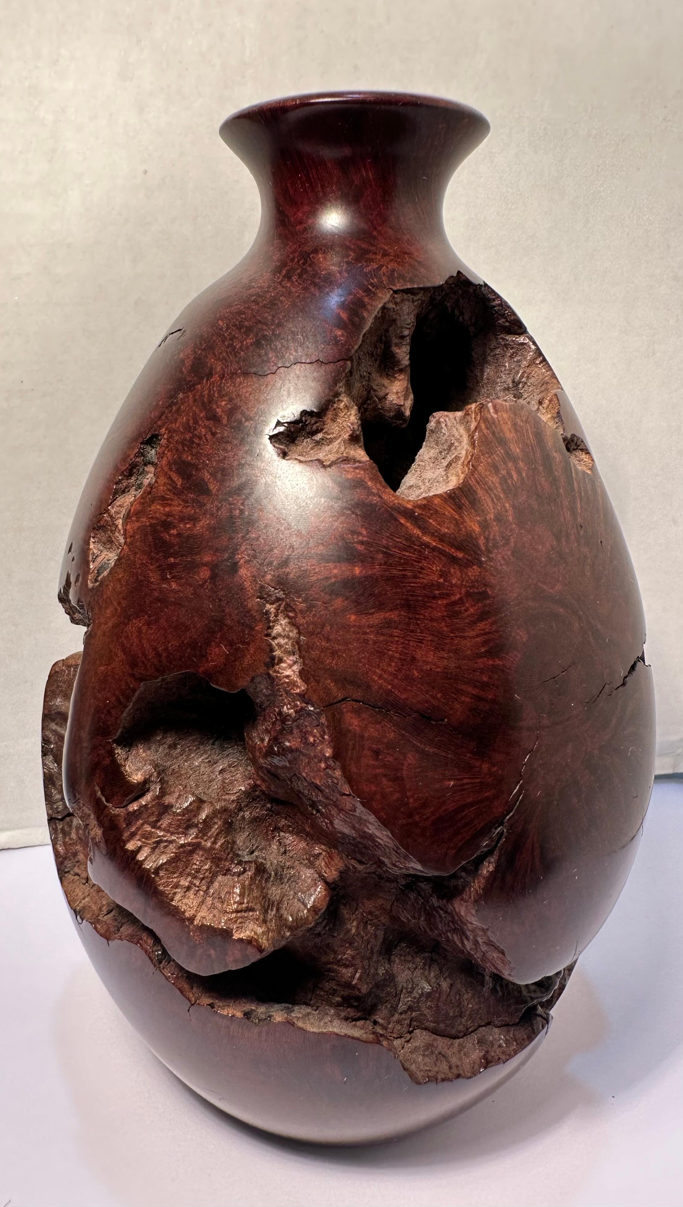 Americano Vaso di gemme bulbose in legno di radica naturale di metà secolo, liscio e robusto, unico nel suo genere. in vendita