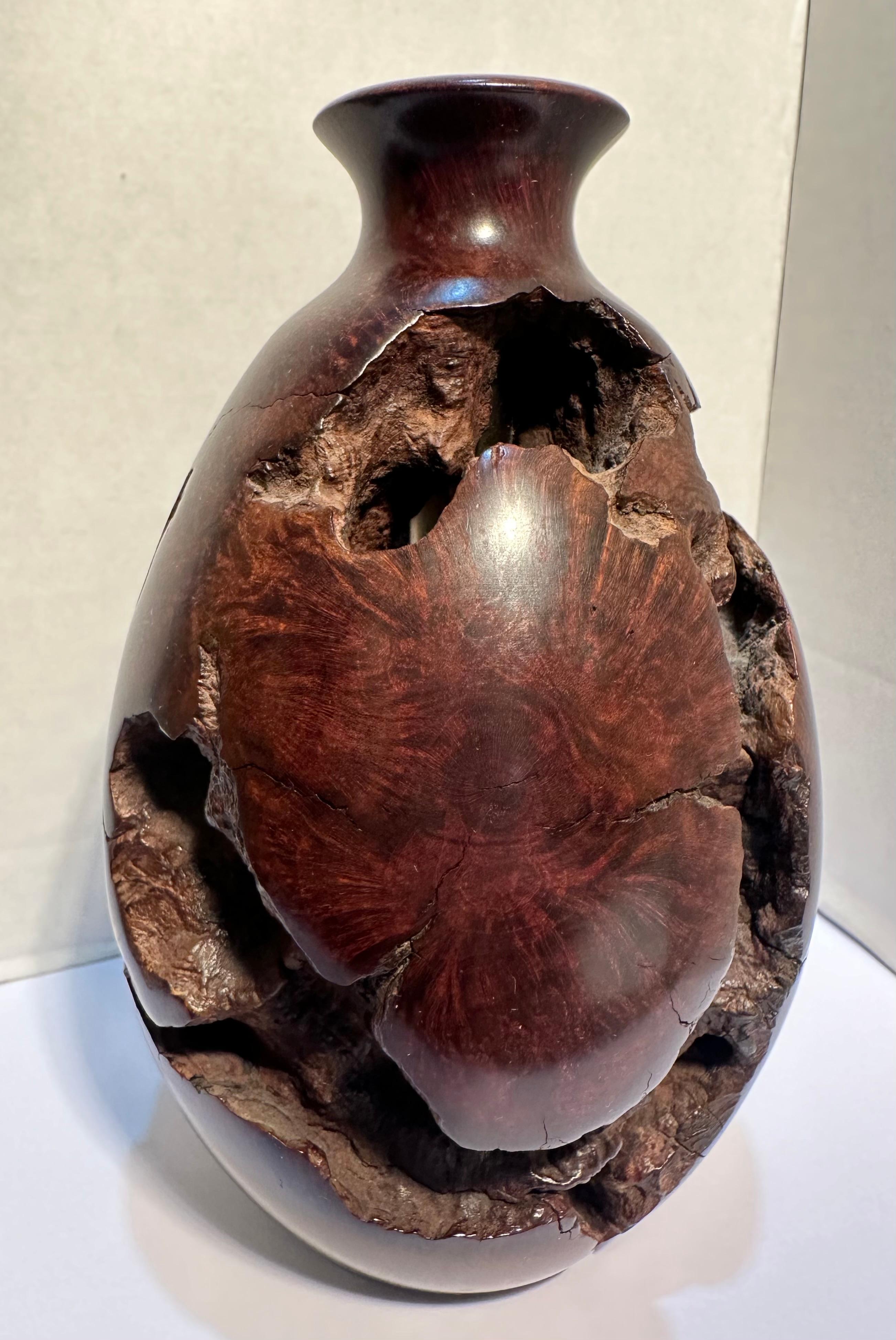 Vaso di gemme bulbose in legno di radica naturale di metà secolo, liscio e robusto, unico nel suo genere. In condizioni ottime in vendita a Tustin, CA