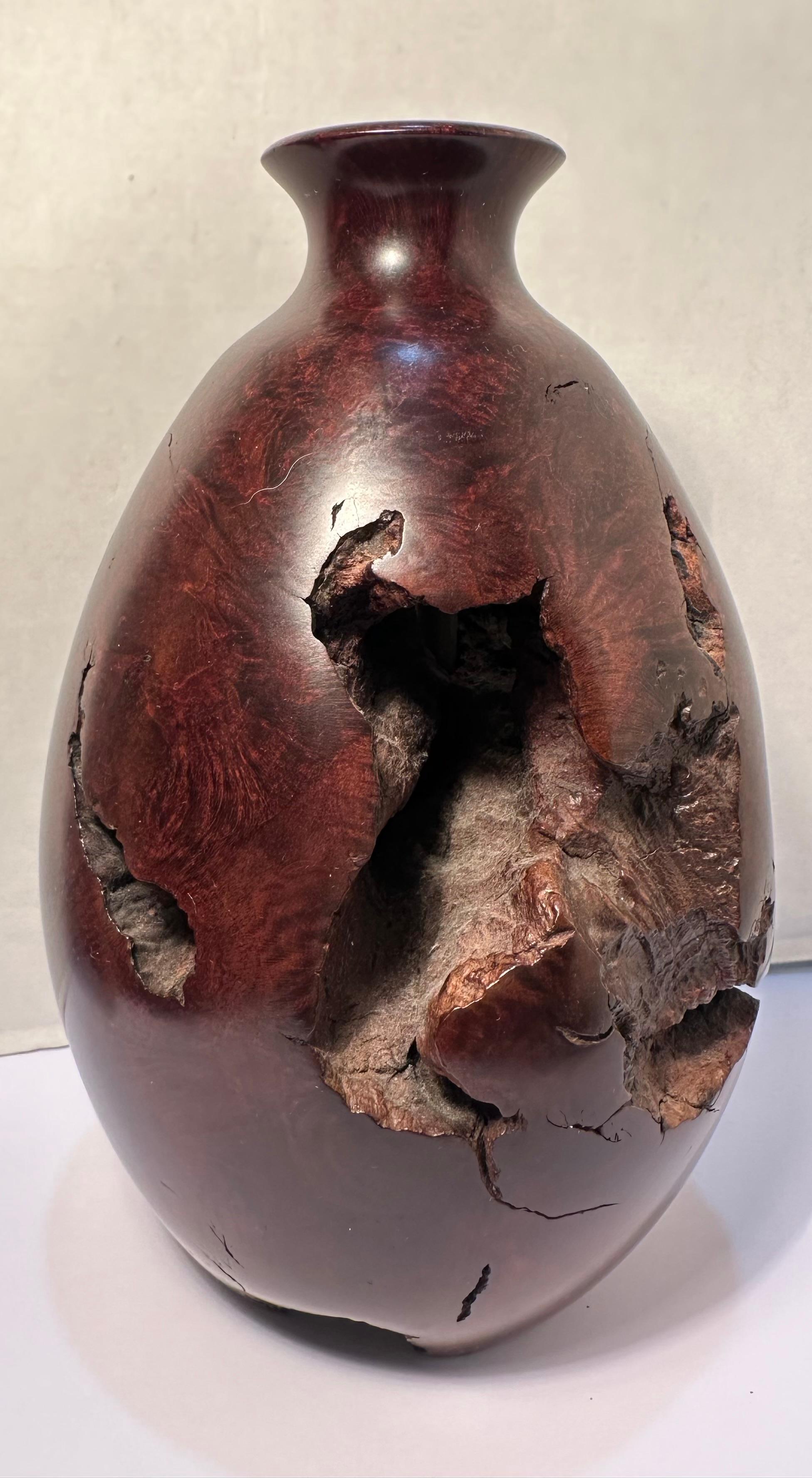 XX secolo Vaso di gemme bulbose in legno di radica naturale di metà secolo, liscio e robusto, unico nel suo genere. in vendita