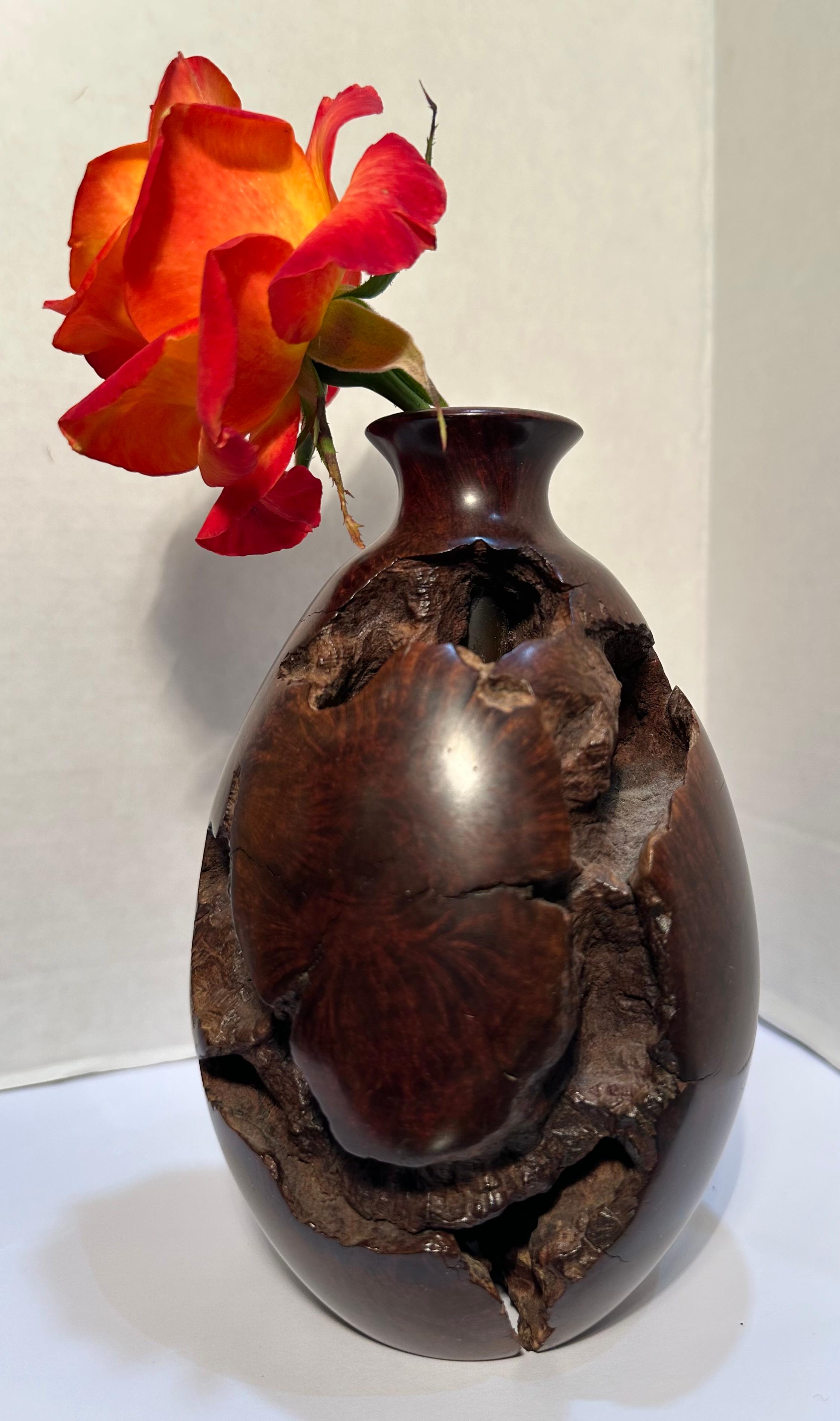 Mid-Century Natural Smooth and Rugged Burlwood Bulbous Bud Vase - One of a Kind For Sale 1