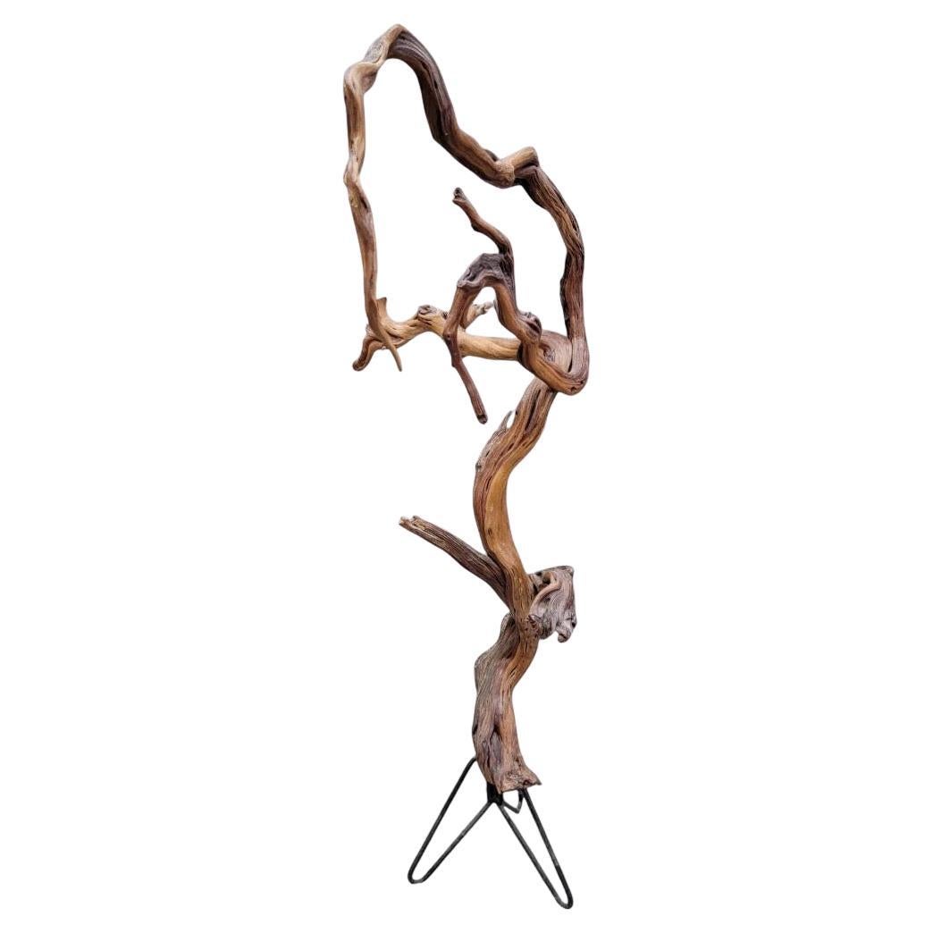 Statua da terra Rood in teak naturale del Medioevo in vendita