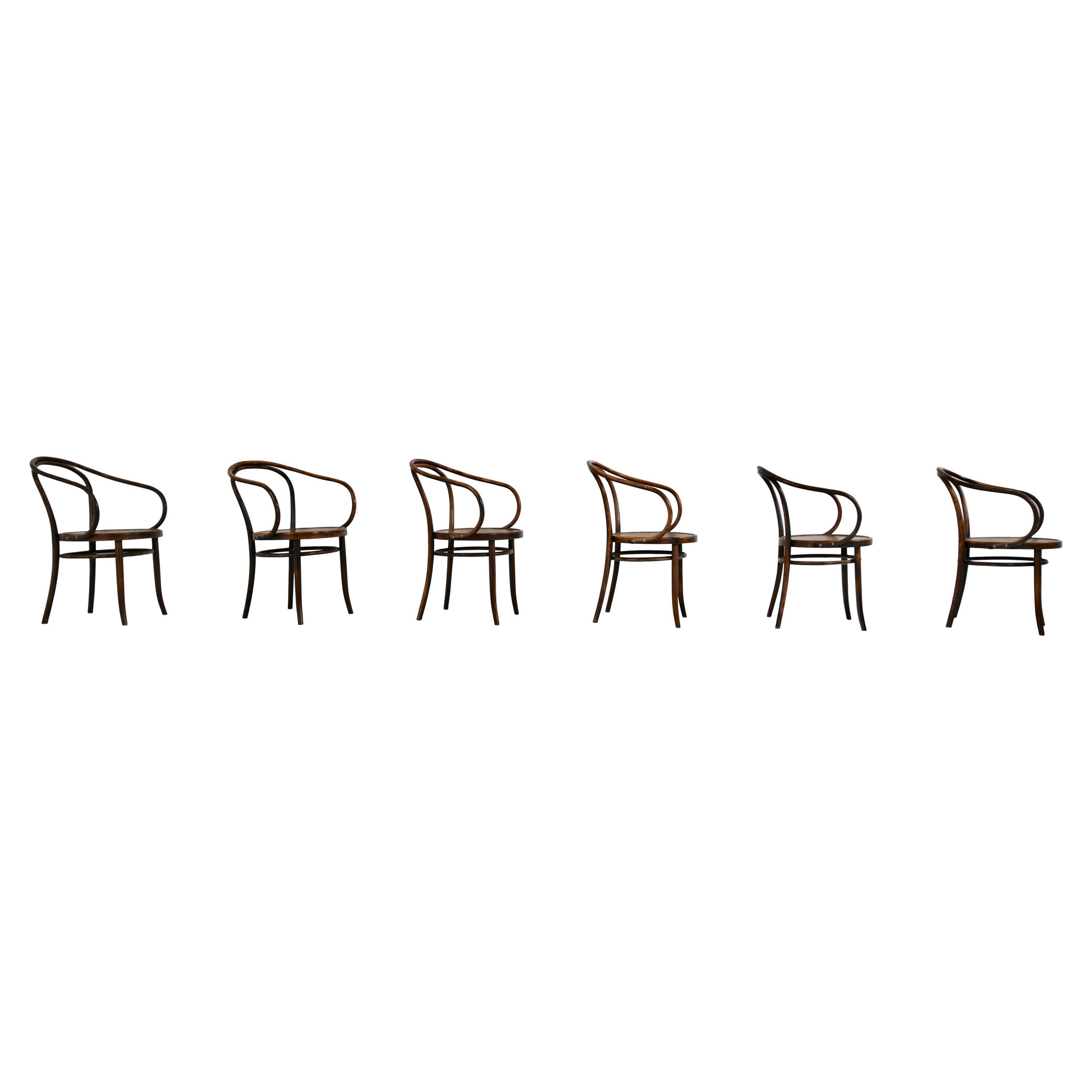 B9 / 209 Dining Chairs by Michael Thonet Radomosk x 6  For Sale