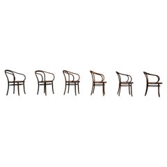 Chaises de salle à manger B9 / 209 de Michael Thonet Radomosk x 6 