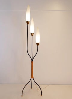 Mid-Century Opaline Floorlamp, 1950's