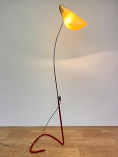 Mid century organic Design Floor Lamp by Josef Hůrka, 1960s / Napako