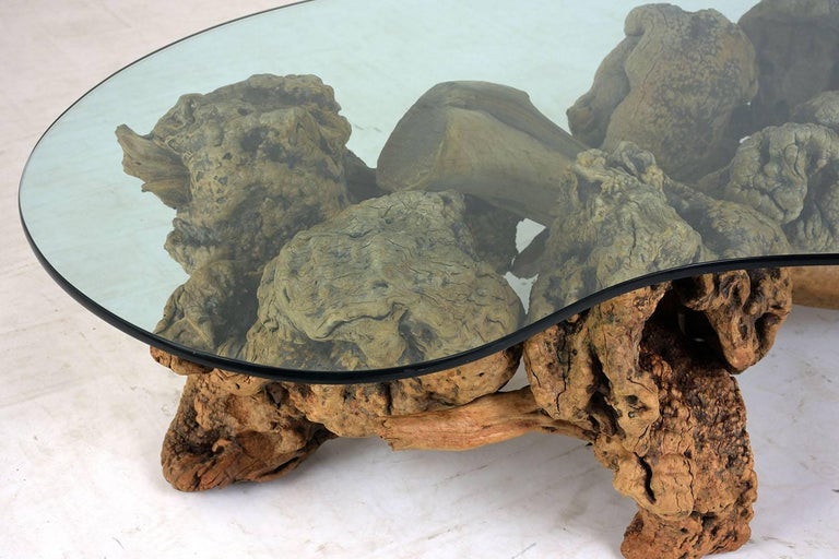 Midcentury Organic Form Tree Root Coffee Table For Sale at 1stdibs
