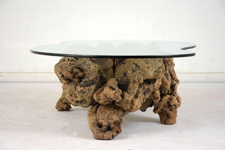 Midcentury Organic Form Tree Root Coffee Table For Sale at 1stdibs