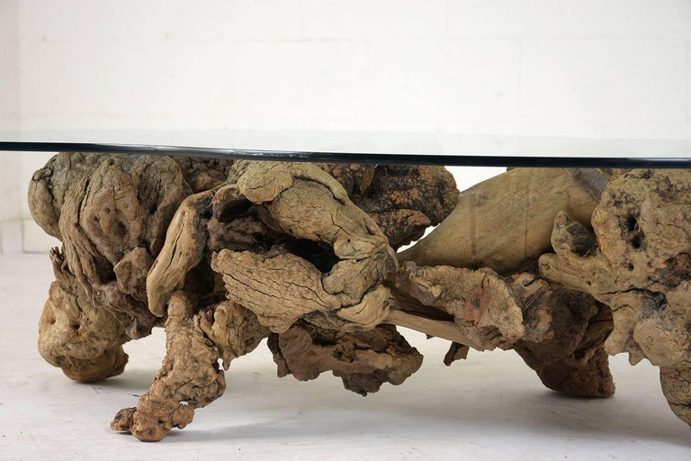 Midcentury Organic Form Tree Root Coffee Table For Sale at 1stdibs