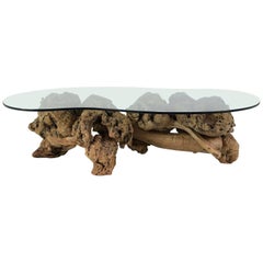 Mid-century Organic Form Tree Root Coffee Table