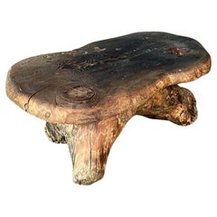 Mid-Century Organic Hand-Carved Live Edge Burl Wood Root Coffee Table or Bench