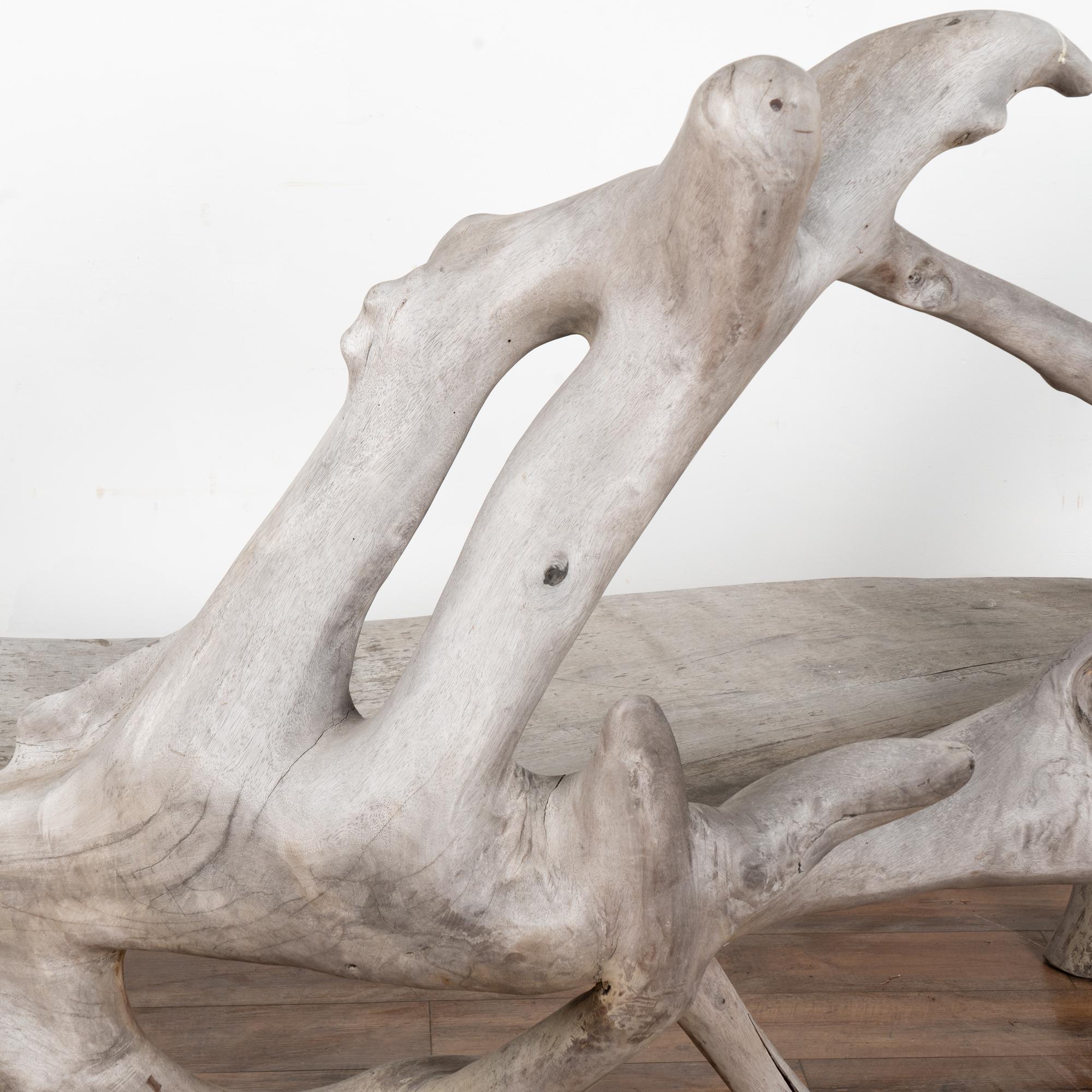 Mid Century Organic Teak Root Large Bench For Sale 6