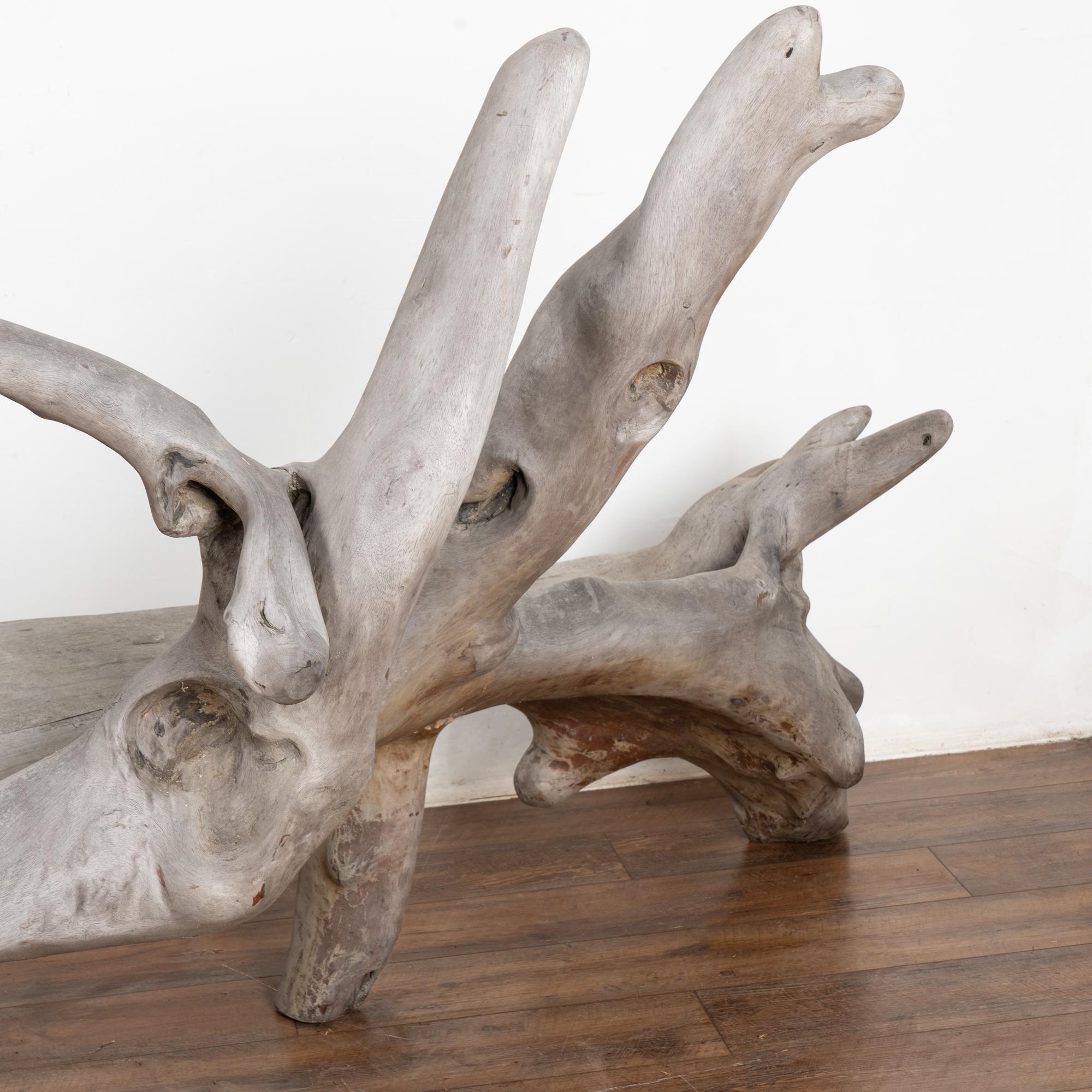 Mid Century Organic Teak Root Large Bench For Sale 8