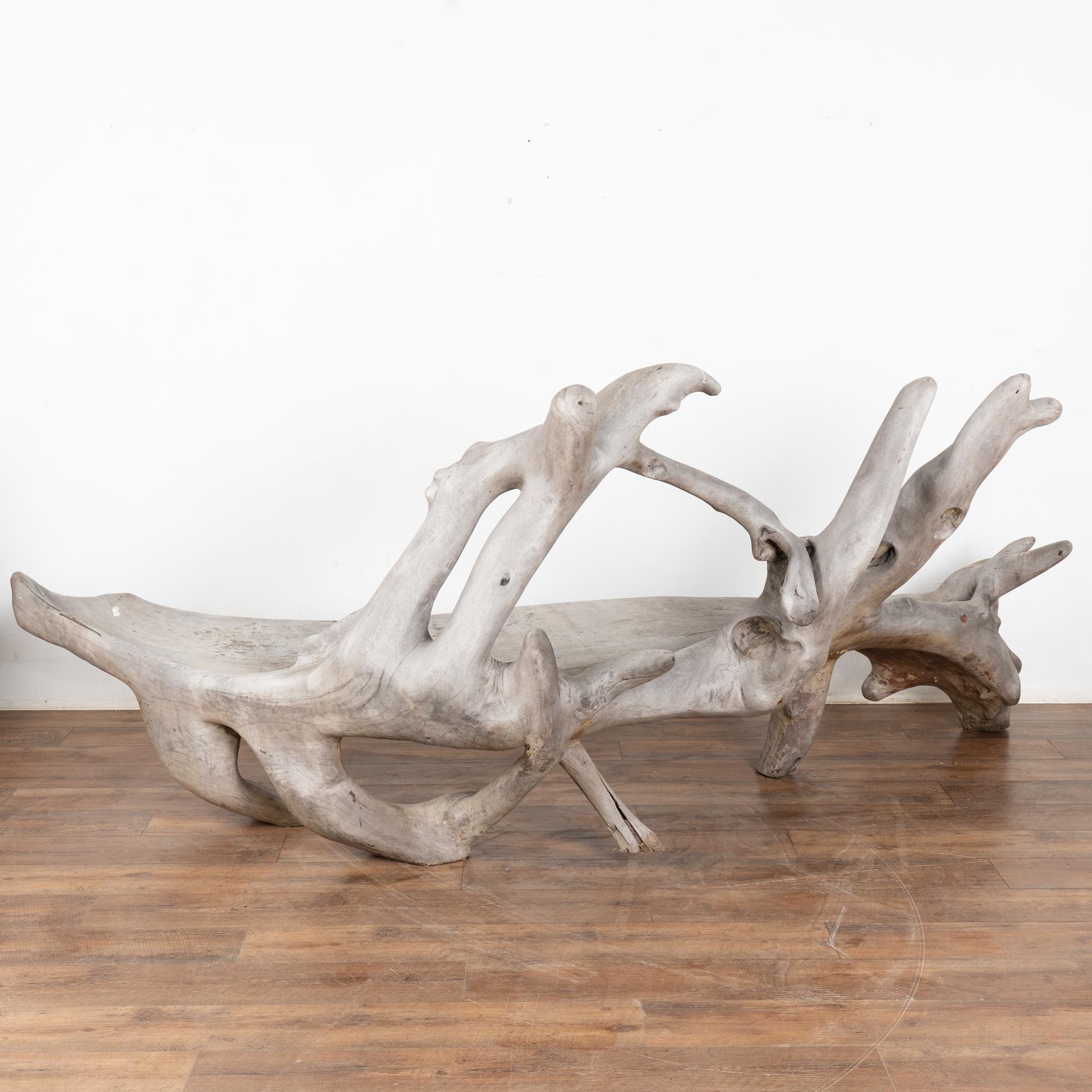 Mid Century Organic Teak Root Large Bench For Sale 9