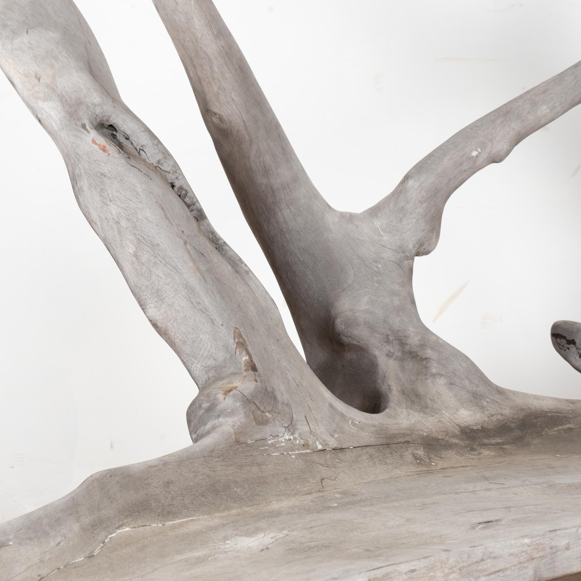 Philippine Mid Century Organic Teak Root Large Bench For Sale