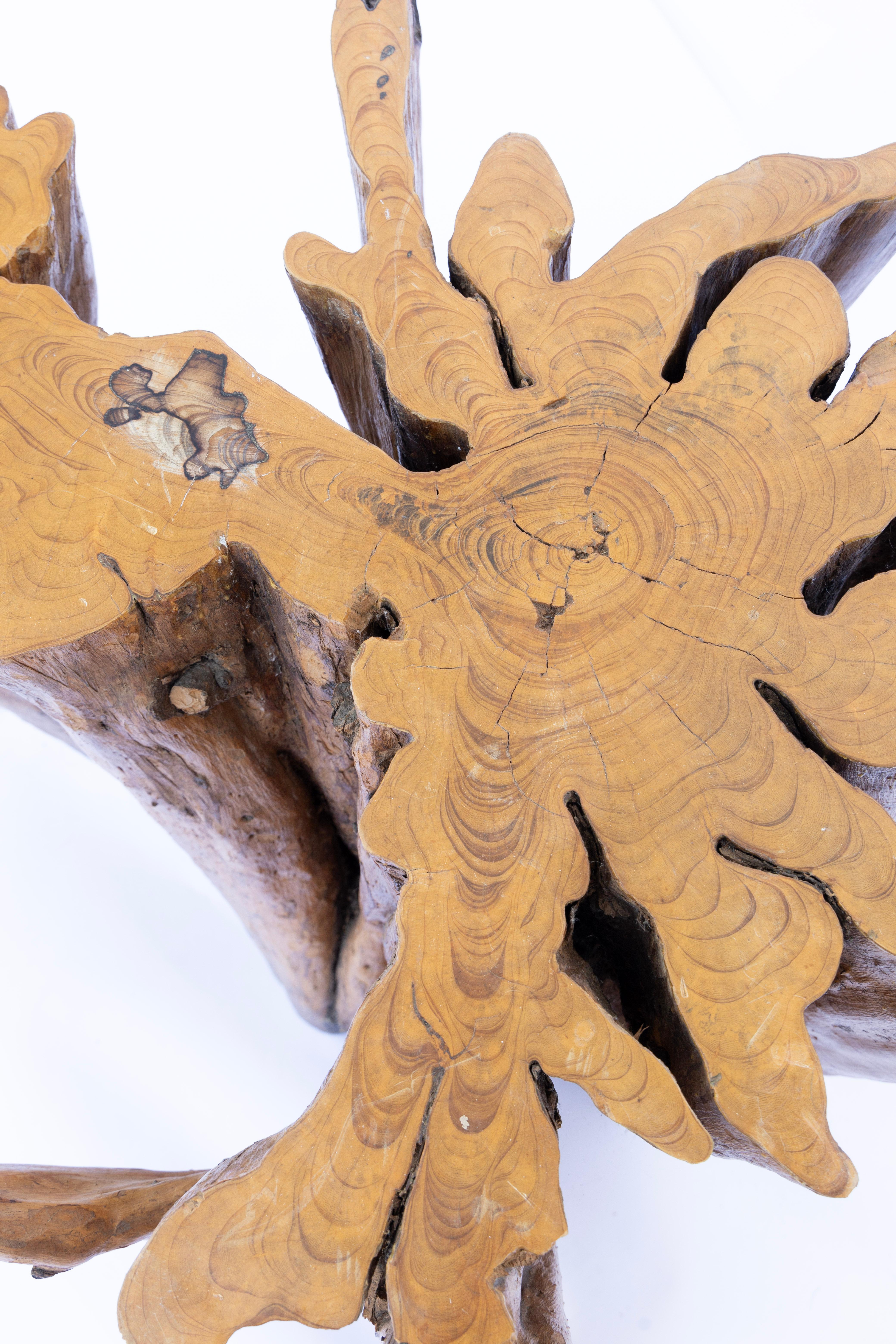 Table de salle à manger cyprès originale du milieu du siècle dernier en vente 3