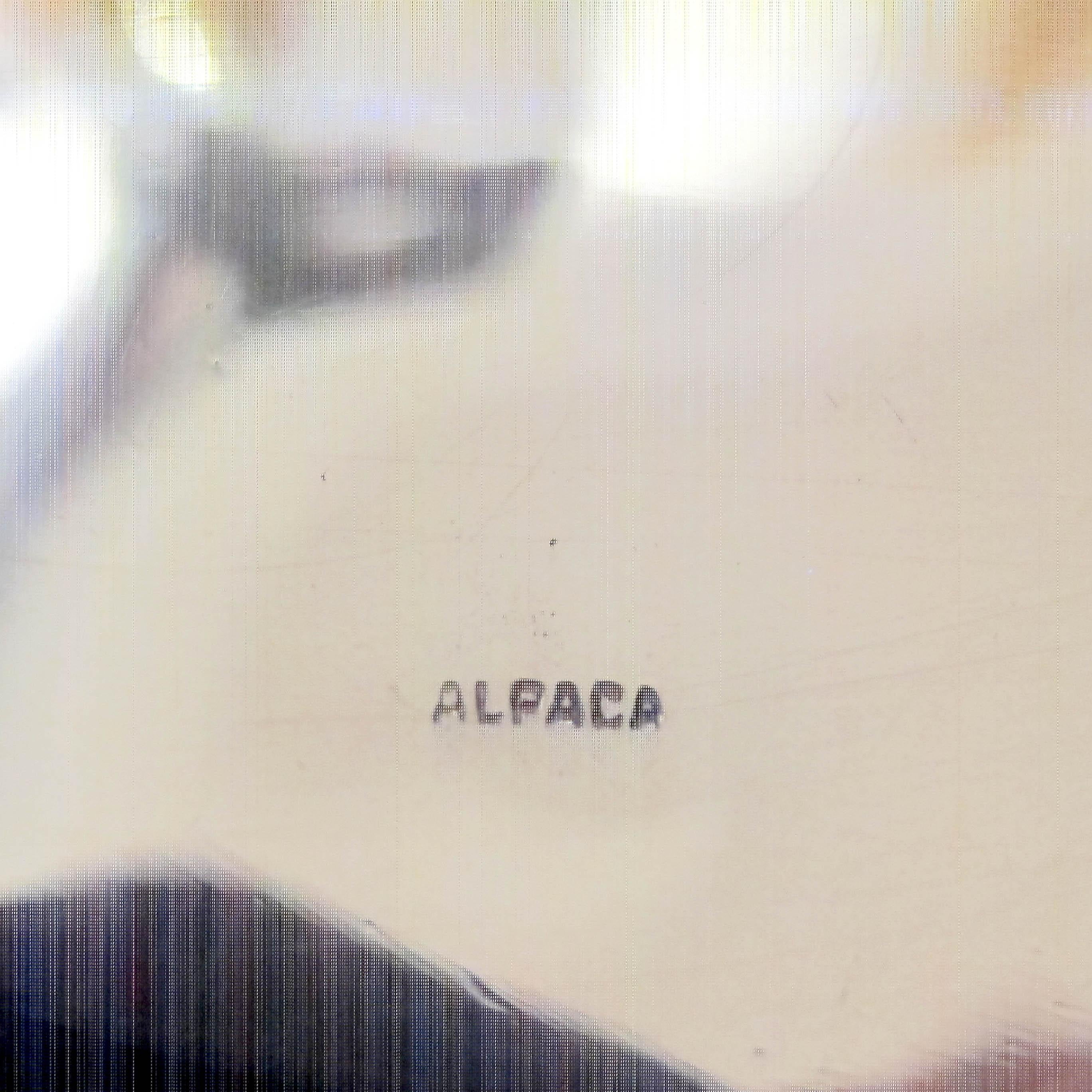 Placcato argento Secchiello da ghiaccio per mele oversize di metà secolo, placcato in argento, italiano in vendita