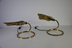 Mid-Century Pair of Brass Table Lamps by Tommaso Barbi, 1960s, Italy