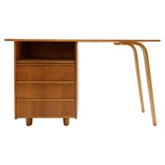 Midcentury Pastoe "EE02" Writing Desk, Cees Braakman, 1940s