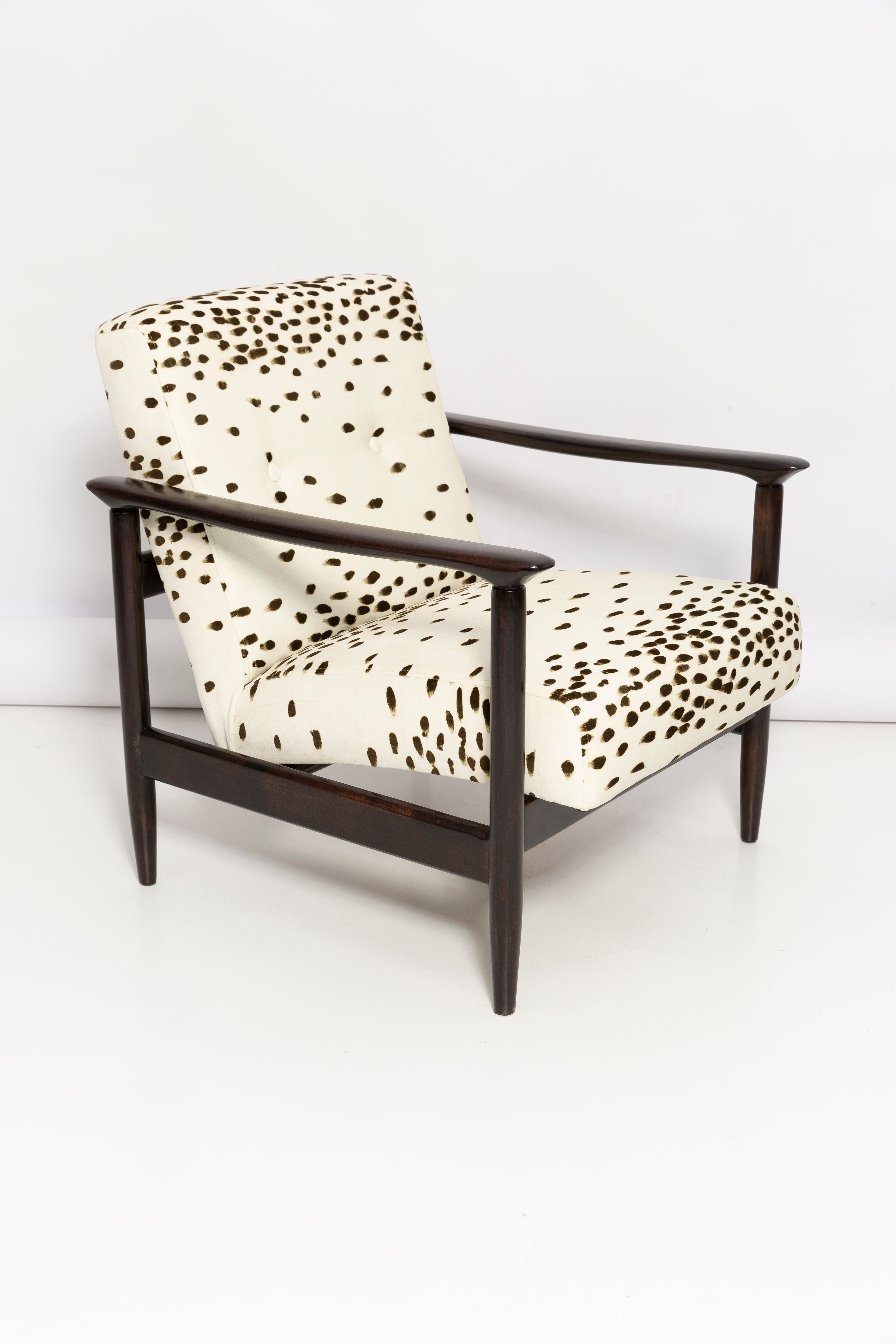 Magnifique fauteuil du milieu du siècle GFM-142, conçu par Edmund Homa. Le fauteuil a été fabriqué dans les années 1960 dans la fabrique de meubles Gosciecinska. Fabriqué en bois de hêtre massif. 

Le fauteuil GFM-142 est considéré comme l'un des